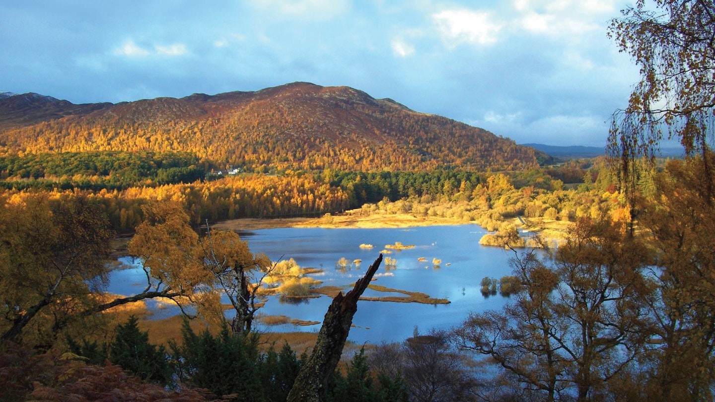 A view of a lake with trees in the Cairngorms