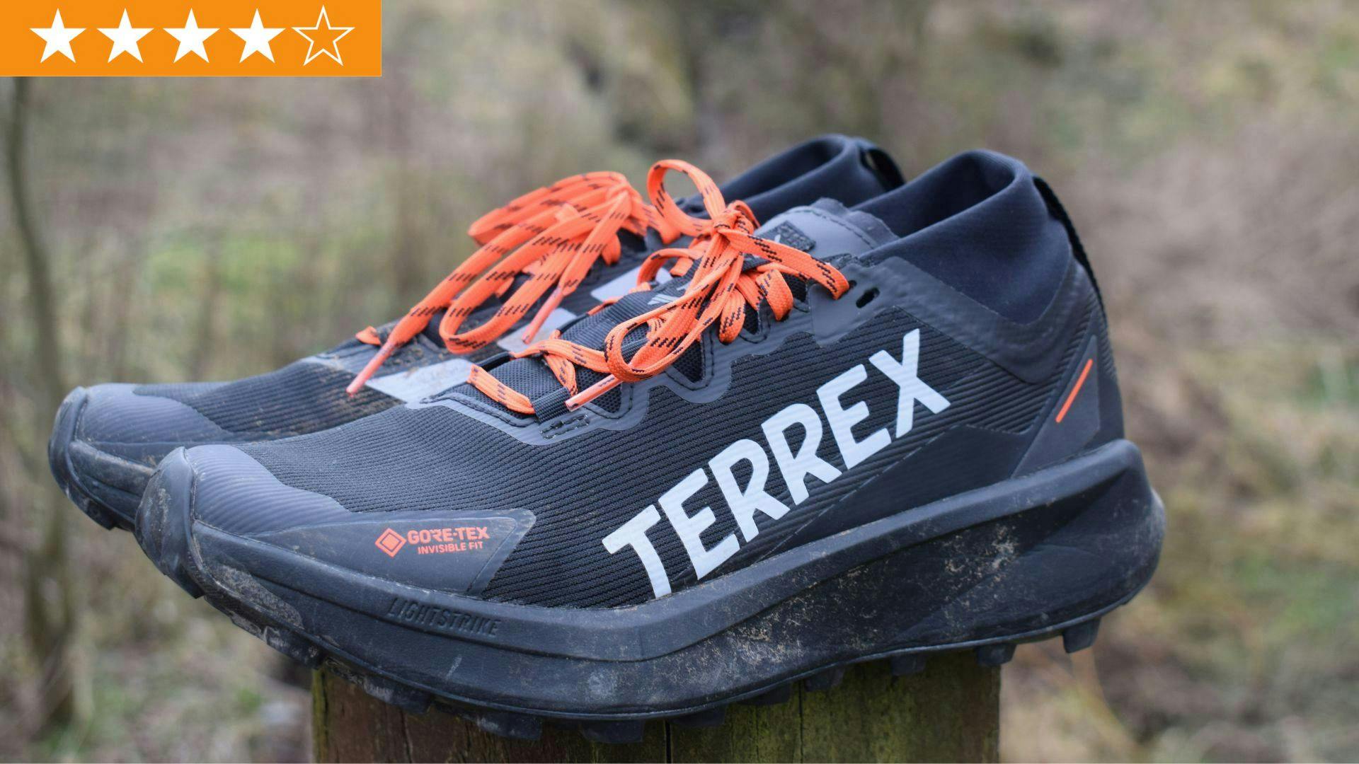 【Adidas コリア】 Terrex Agravic GTX Trail Running Shoes adidas Terrex Agravic GTX Trail Running Shoes - Purple