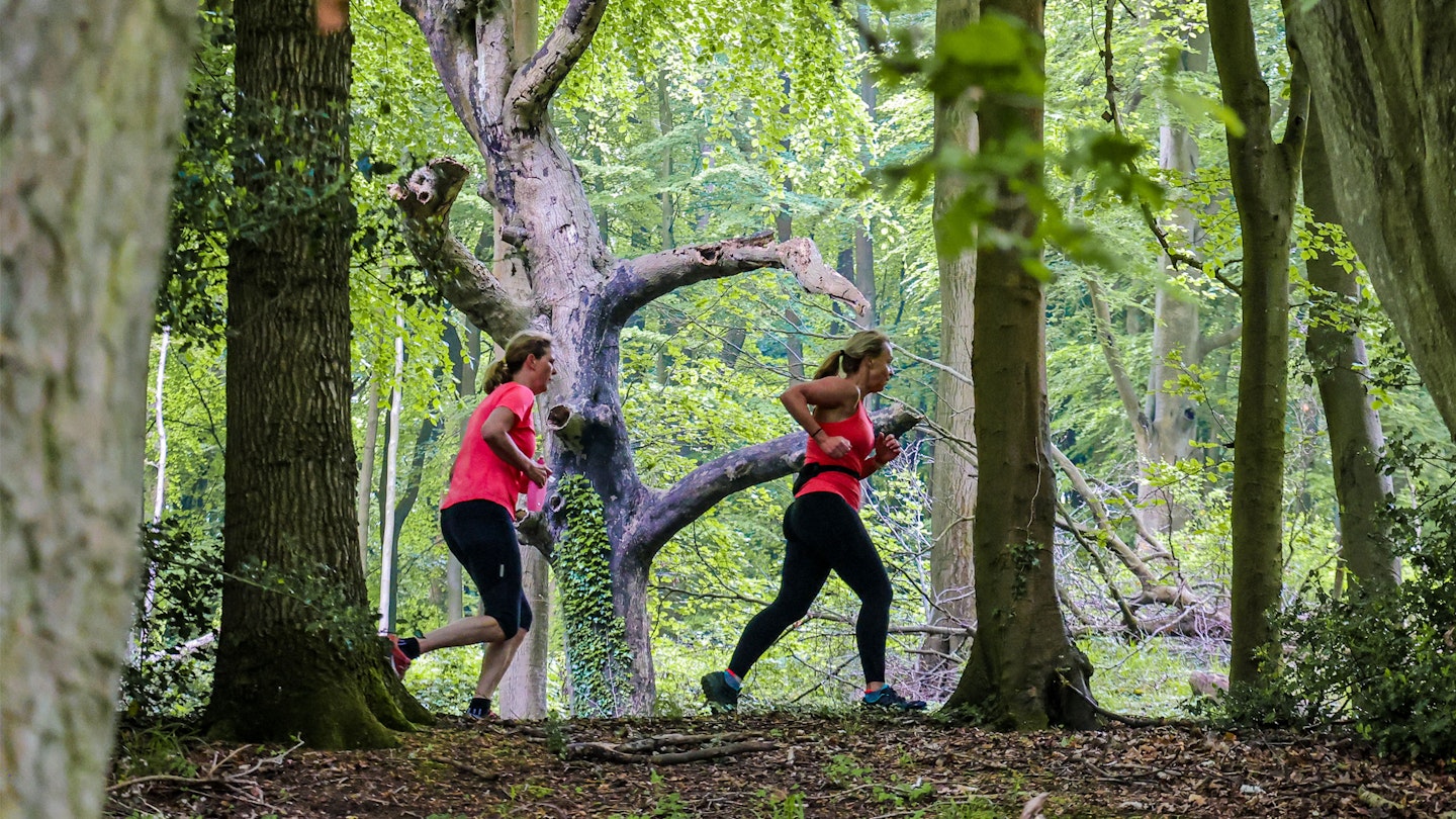 two trail runners in the woods