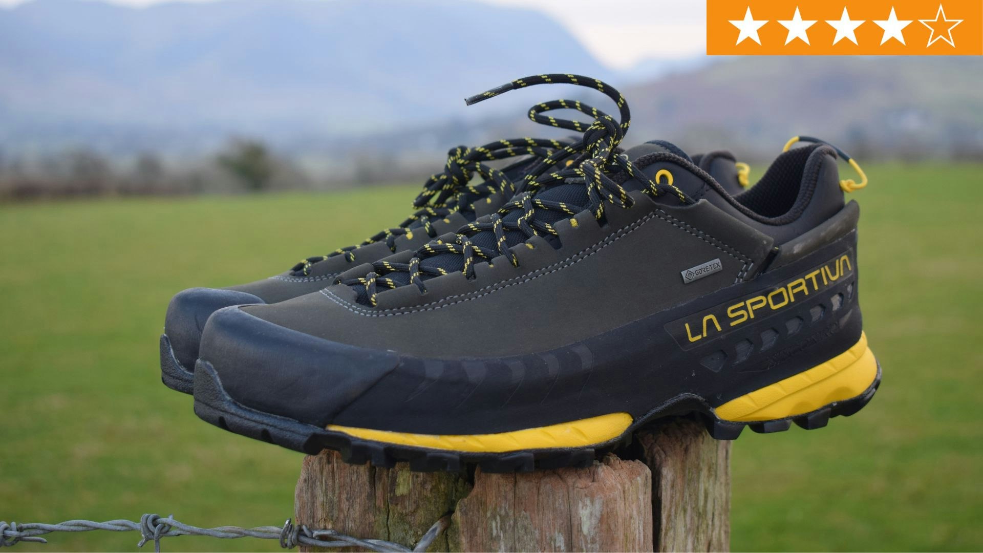 Low Gtx La Sportiva Sale La Sportiva TX5 Low GTX Carbon/Yellow EU 41