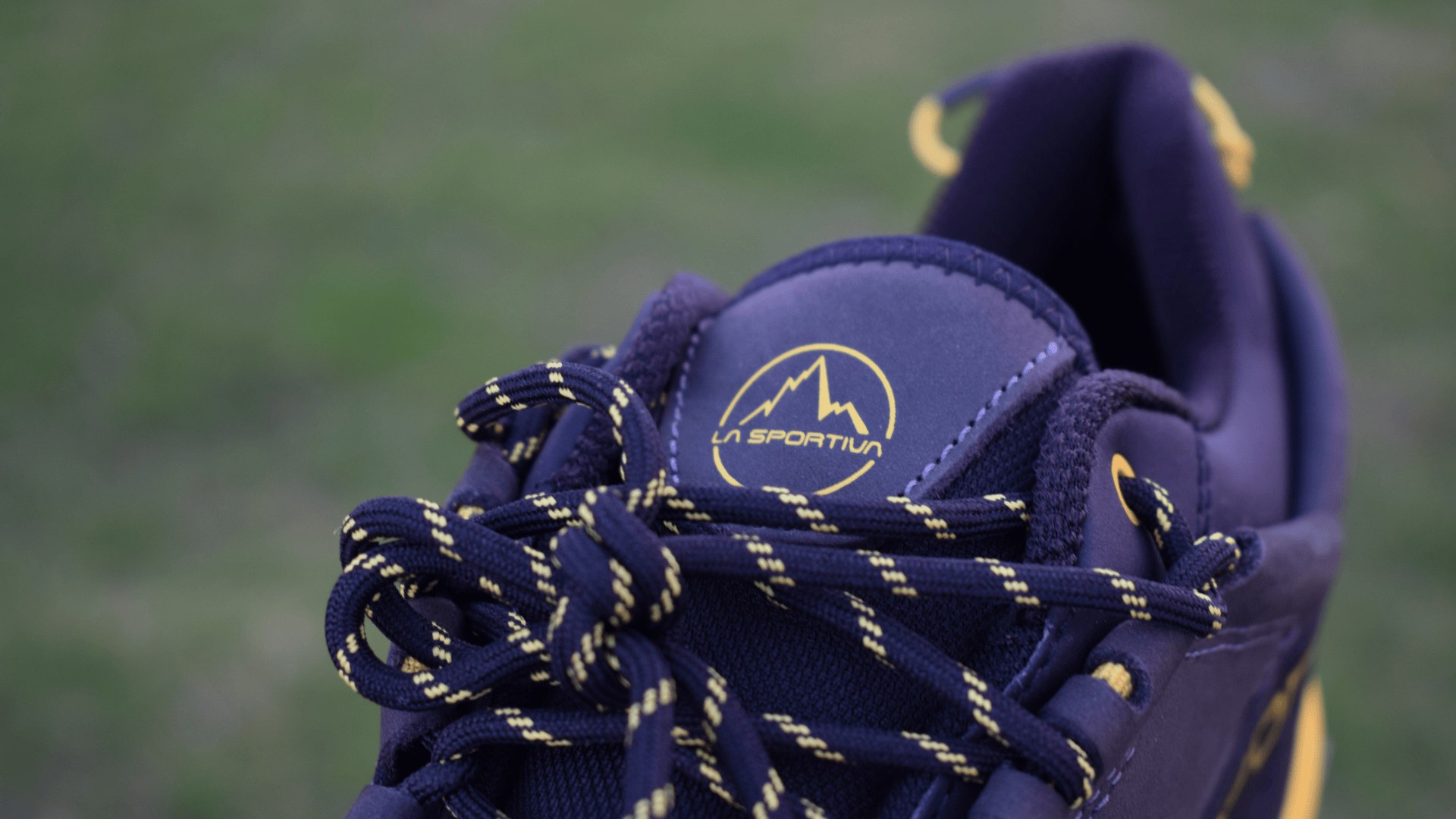 La Sportiva TX5 Low GTX