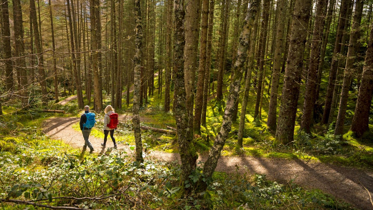 Walking the Loch Ness 360 route credit ANDY MCCANDLISH