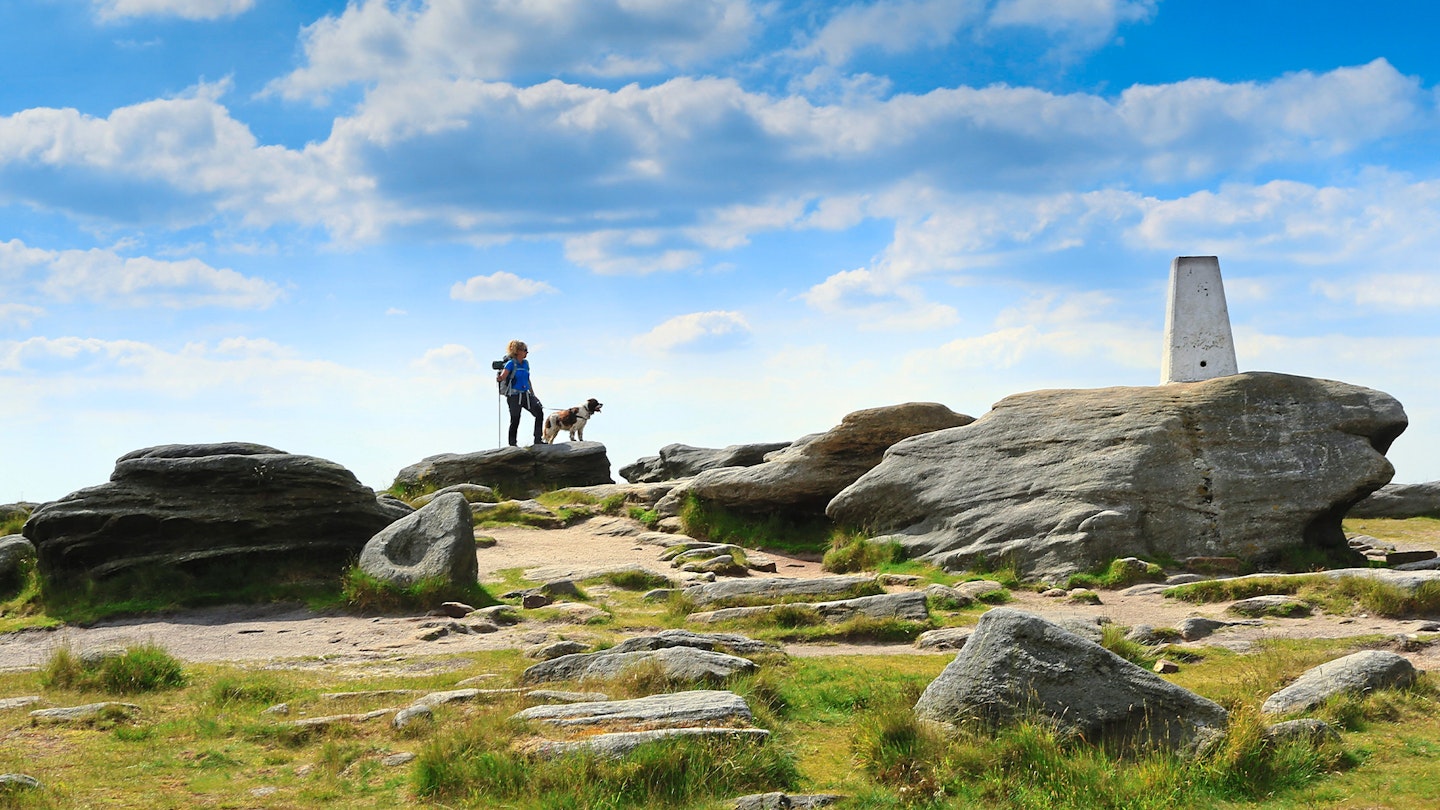 Trig Point 7 Tom Bailey