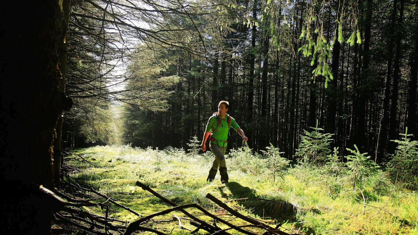 Man hiking in Kielder Forest, Northumberland