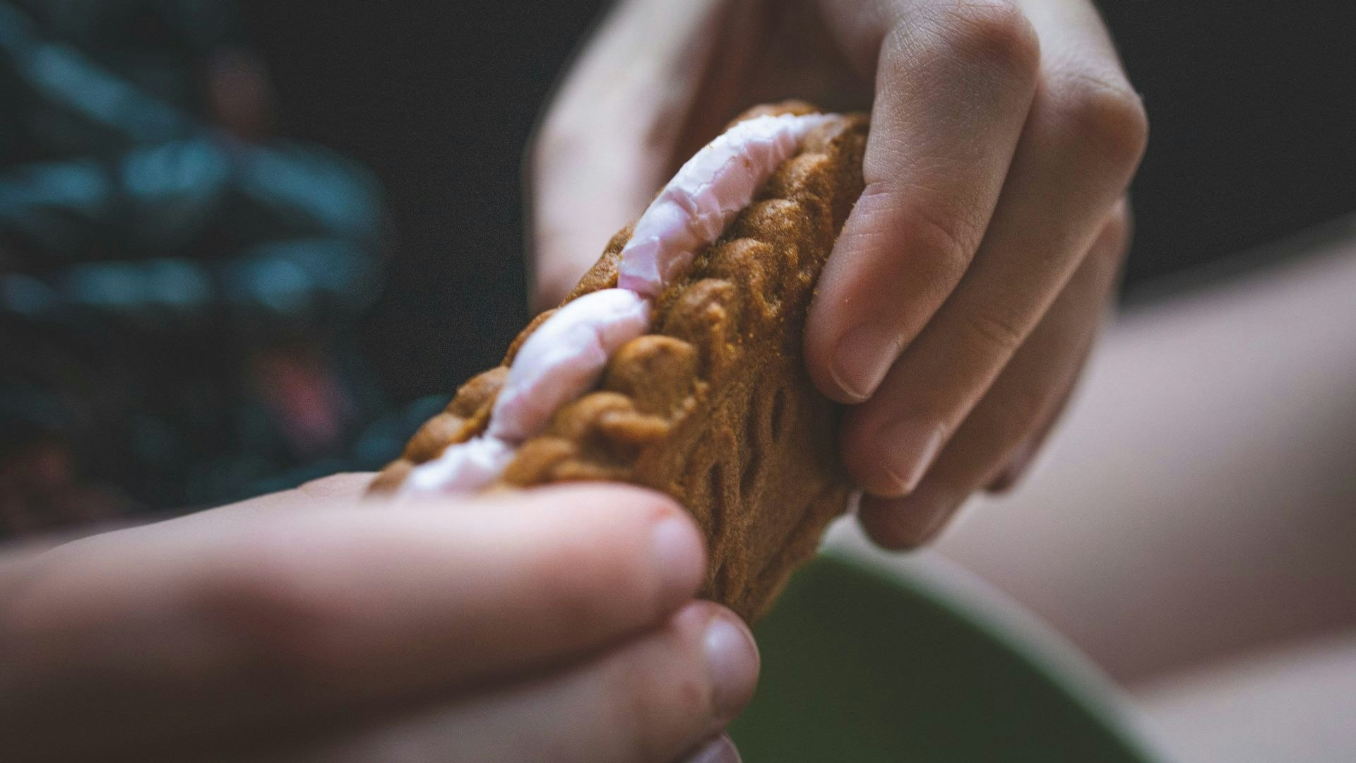 Smores camping snack