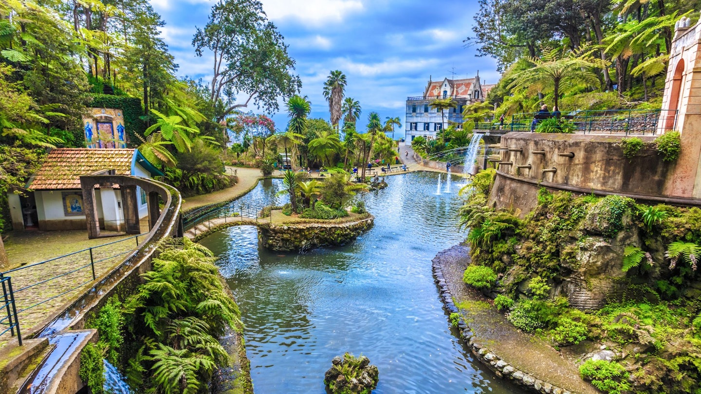 Tropical garden in Funchal, Madeira