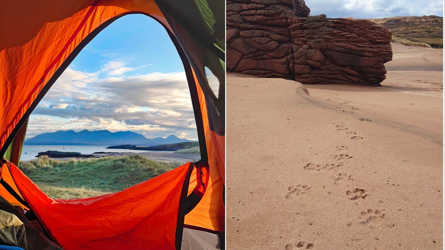 Beach camping on Rum with otter prints in the sand