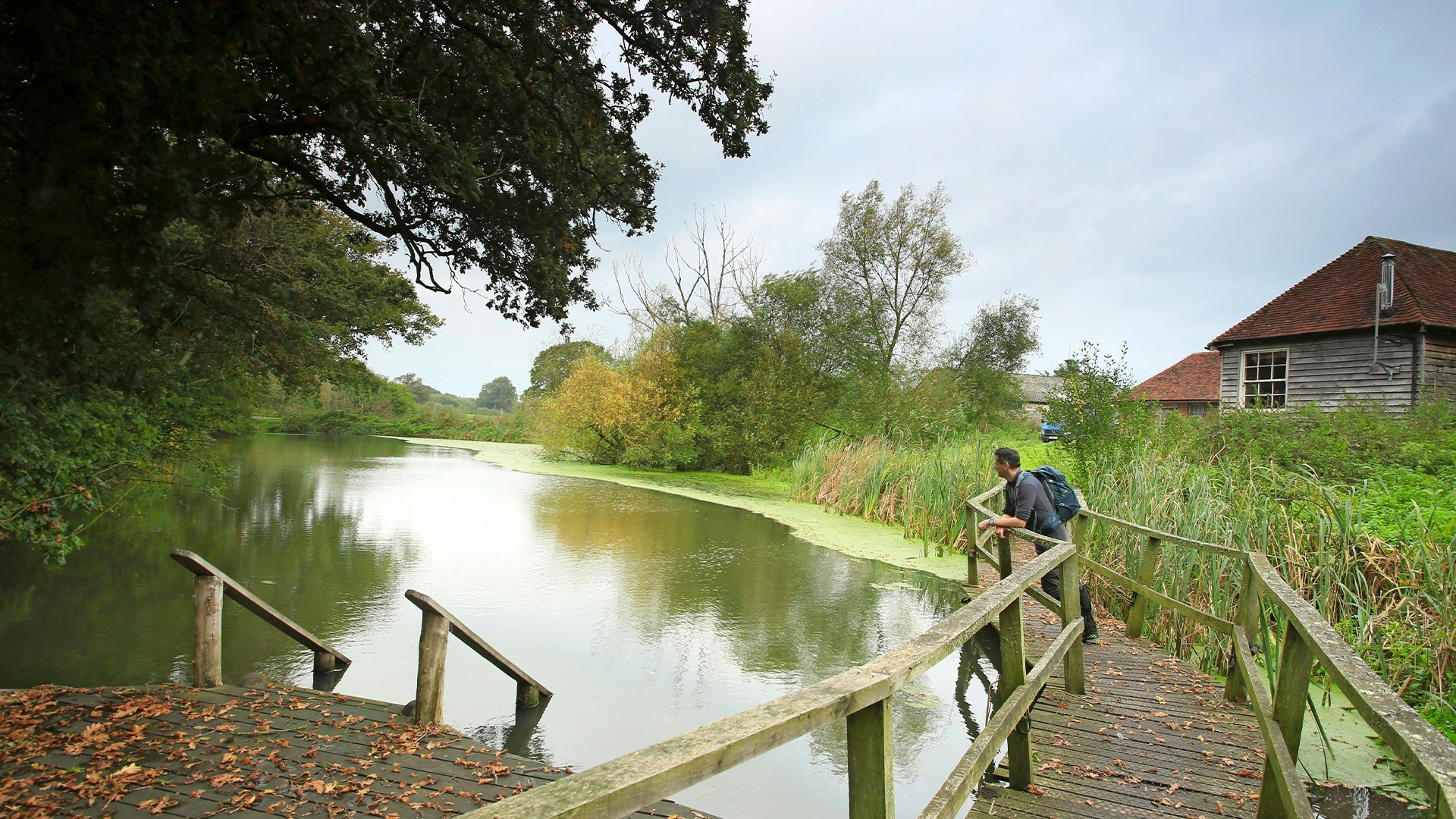 Writer Nick enjoys the surroundings in the Knepp estate