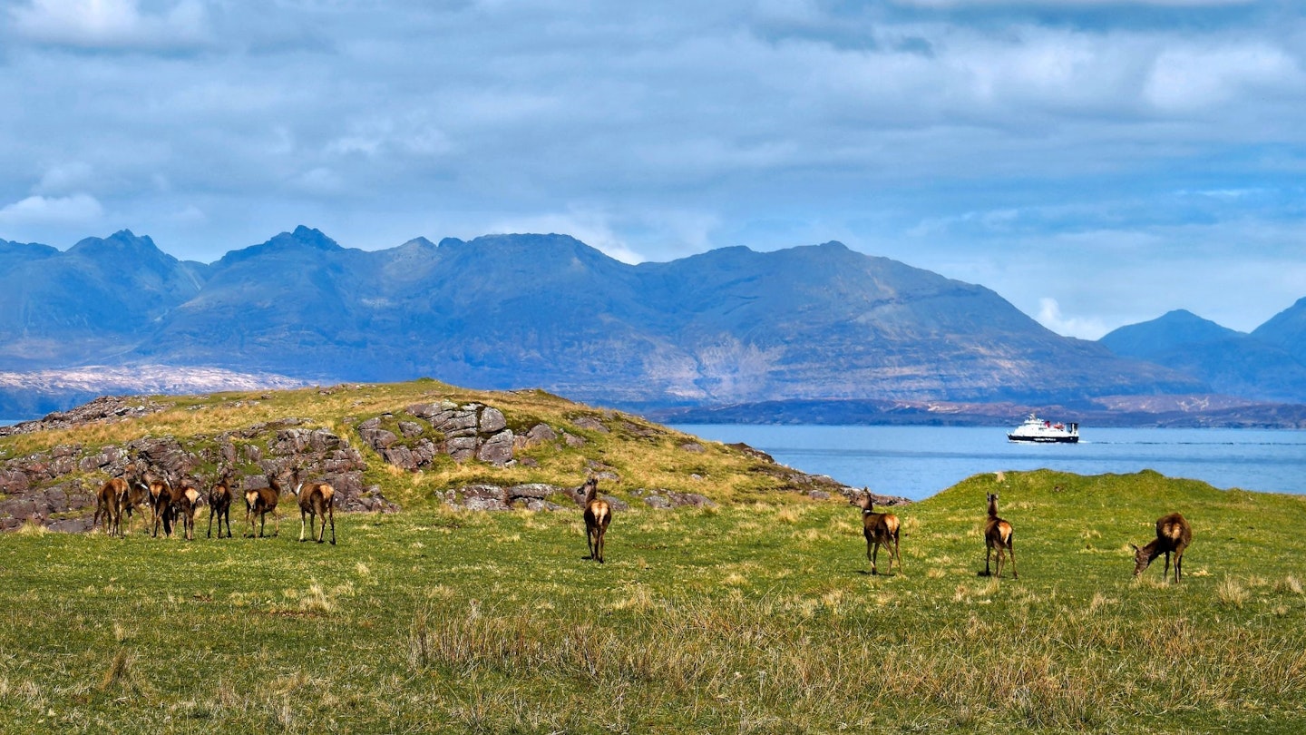 Deer watching at Kilmory Bay, Black Cuillin in the background - Isle of Rùm