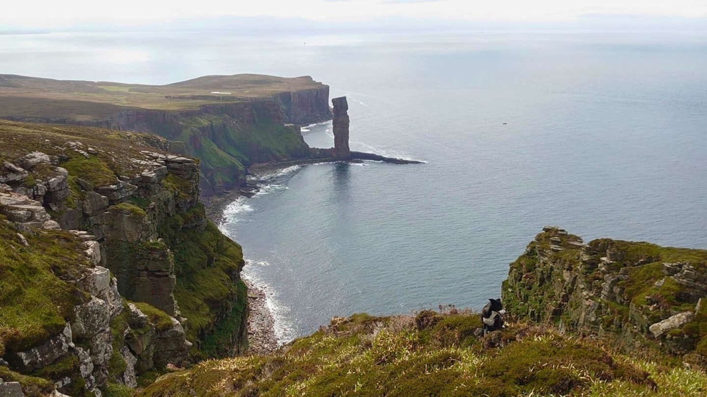 Looking along the coast to the Old Man of Hoy
