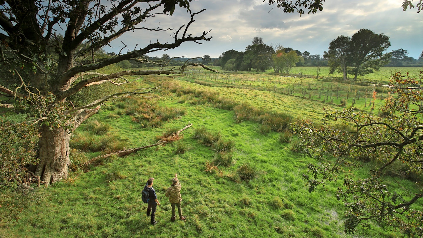 View from tree platform