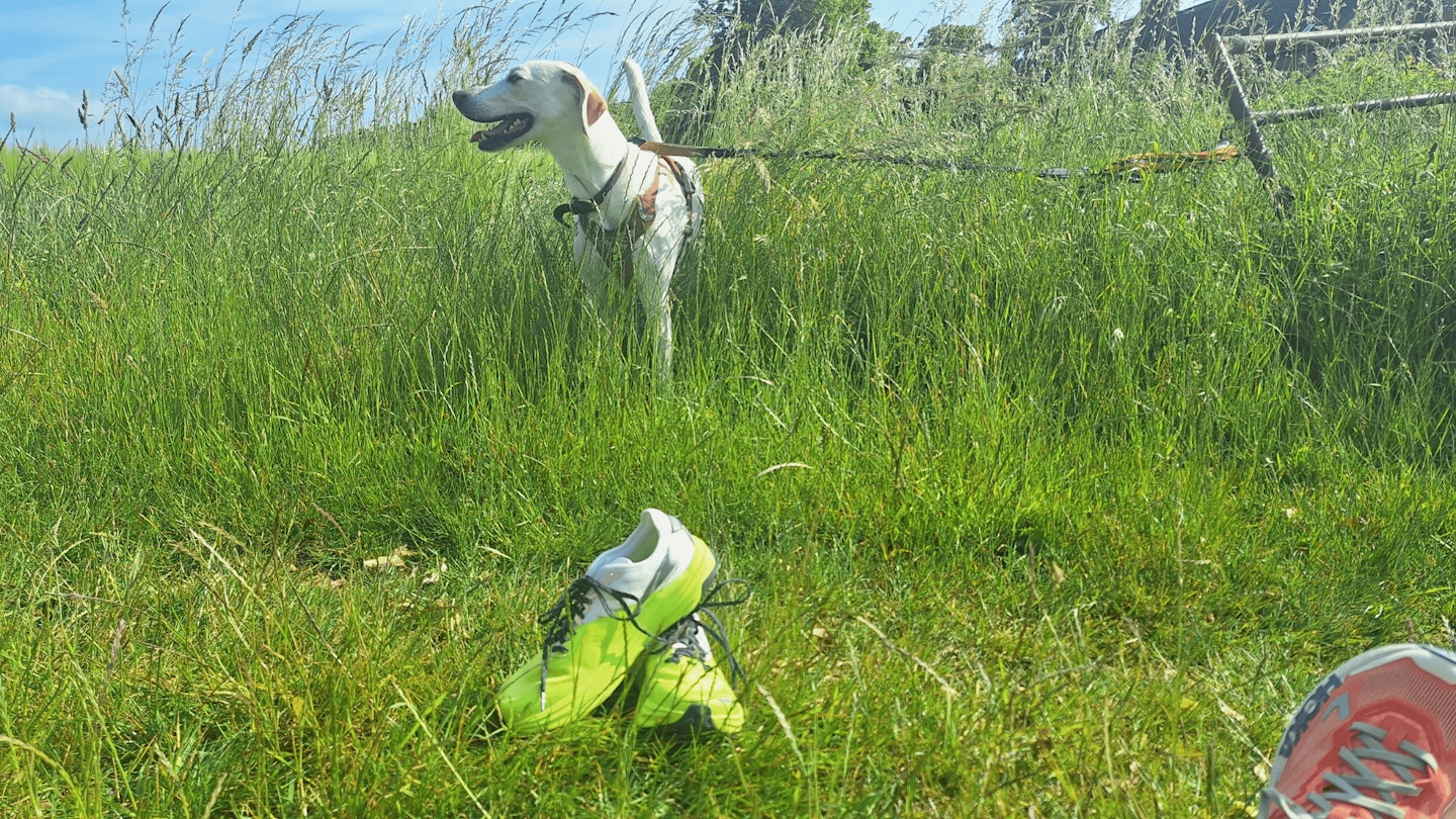 Altra Mont Blanc Carbon