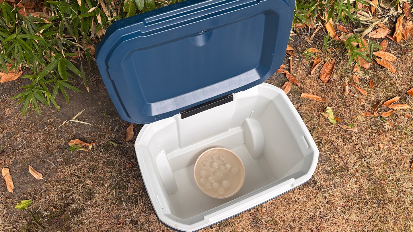 Coleman Xtreme Cooler Box 47l with ice water inside