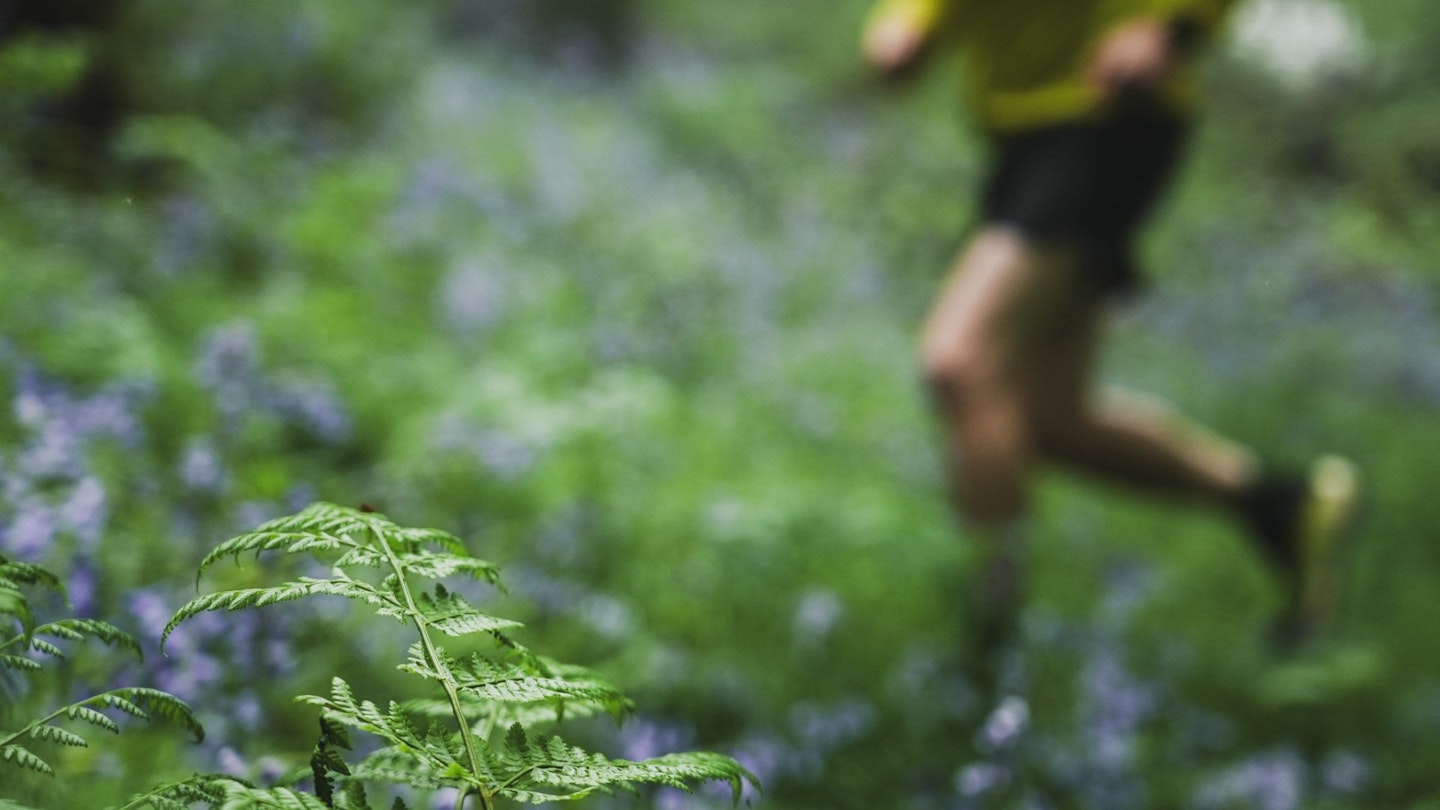 Runner running through a forest