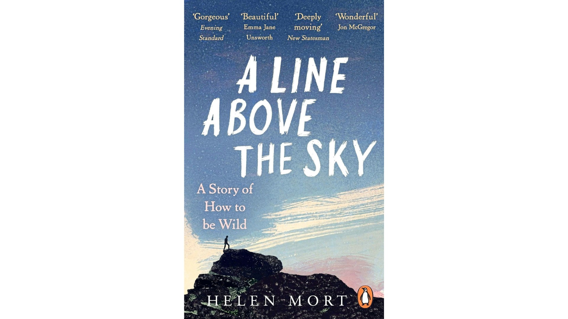A line above the sky front cover