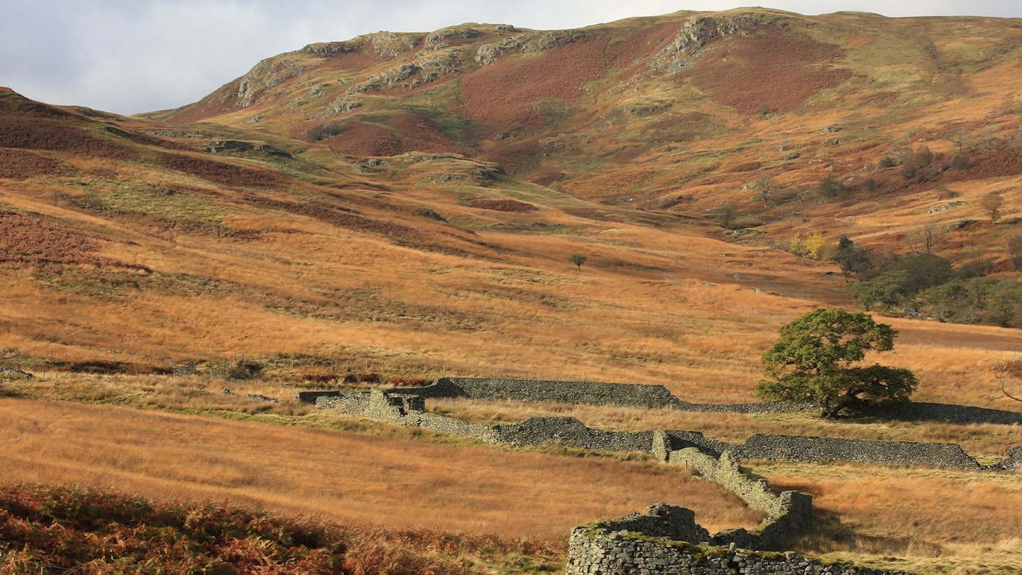 Autumn colours of Upper Sleddale Shap Wet Sleddle English L