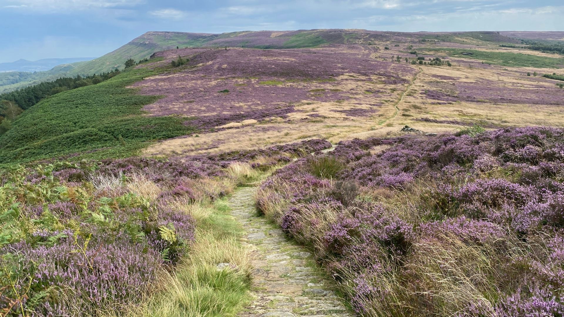Day 2 Moors
