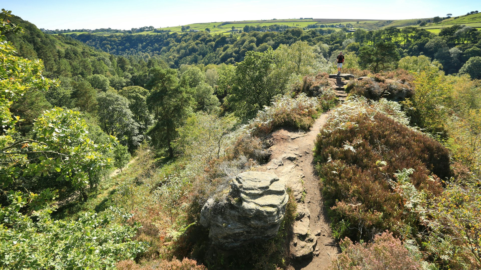 Hardcastle Crags Heptonstall Yorkshire Ted Hughes Hebden Bridge Photos byTom Bailey