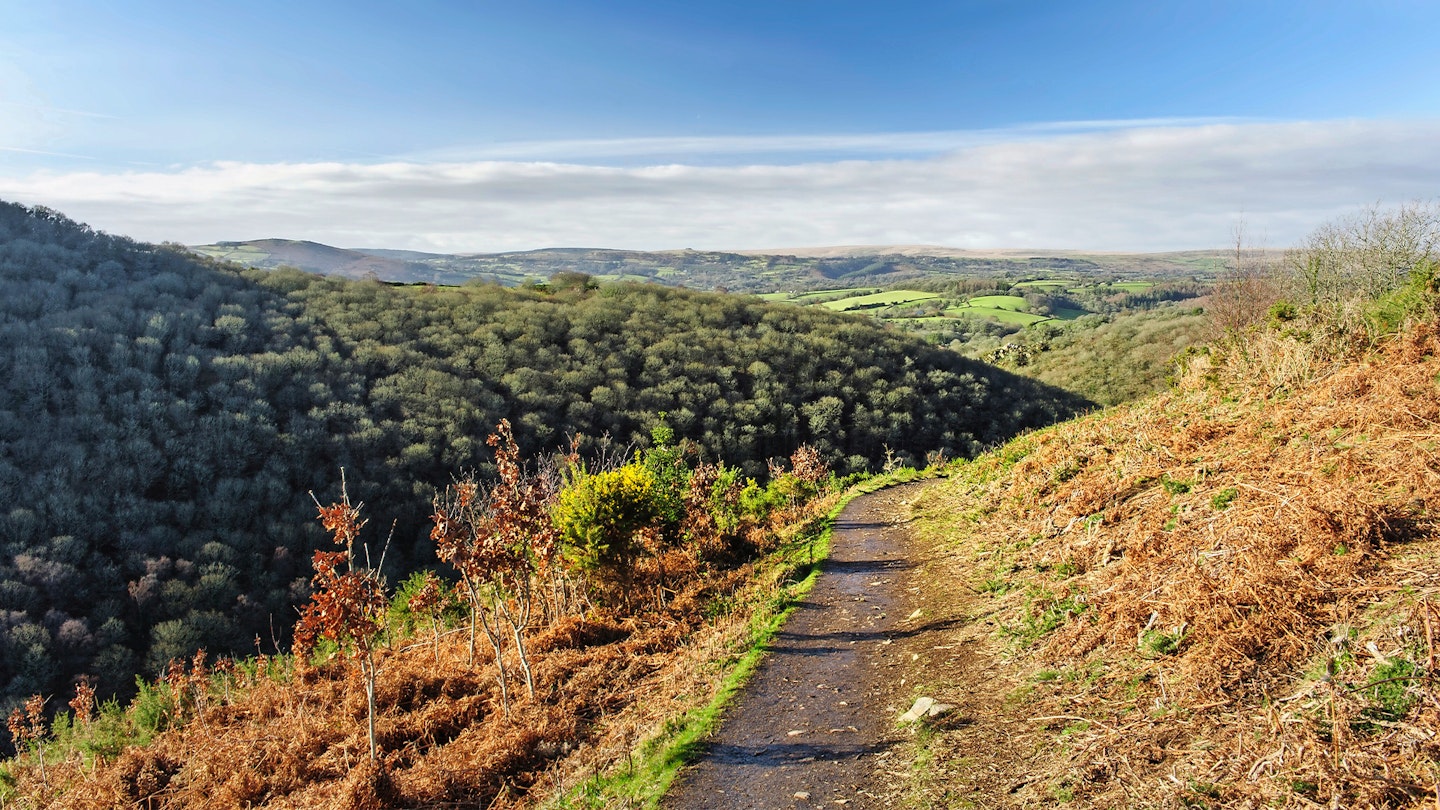 TEIGN GORGE WITH DARTMOOR BEYOND FROM HUNTERS PATH ROBERT HESKETH