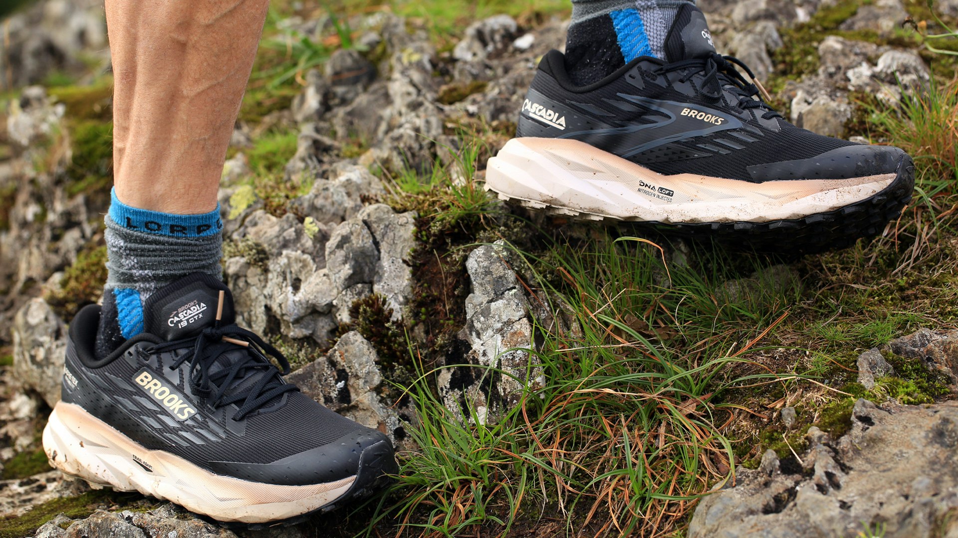 Brooks Cascadia 19 GTX waterproof trail running shoes