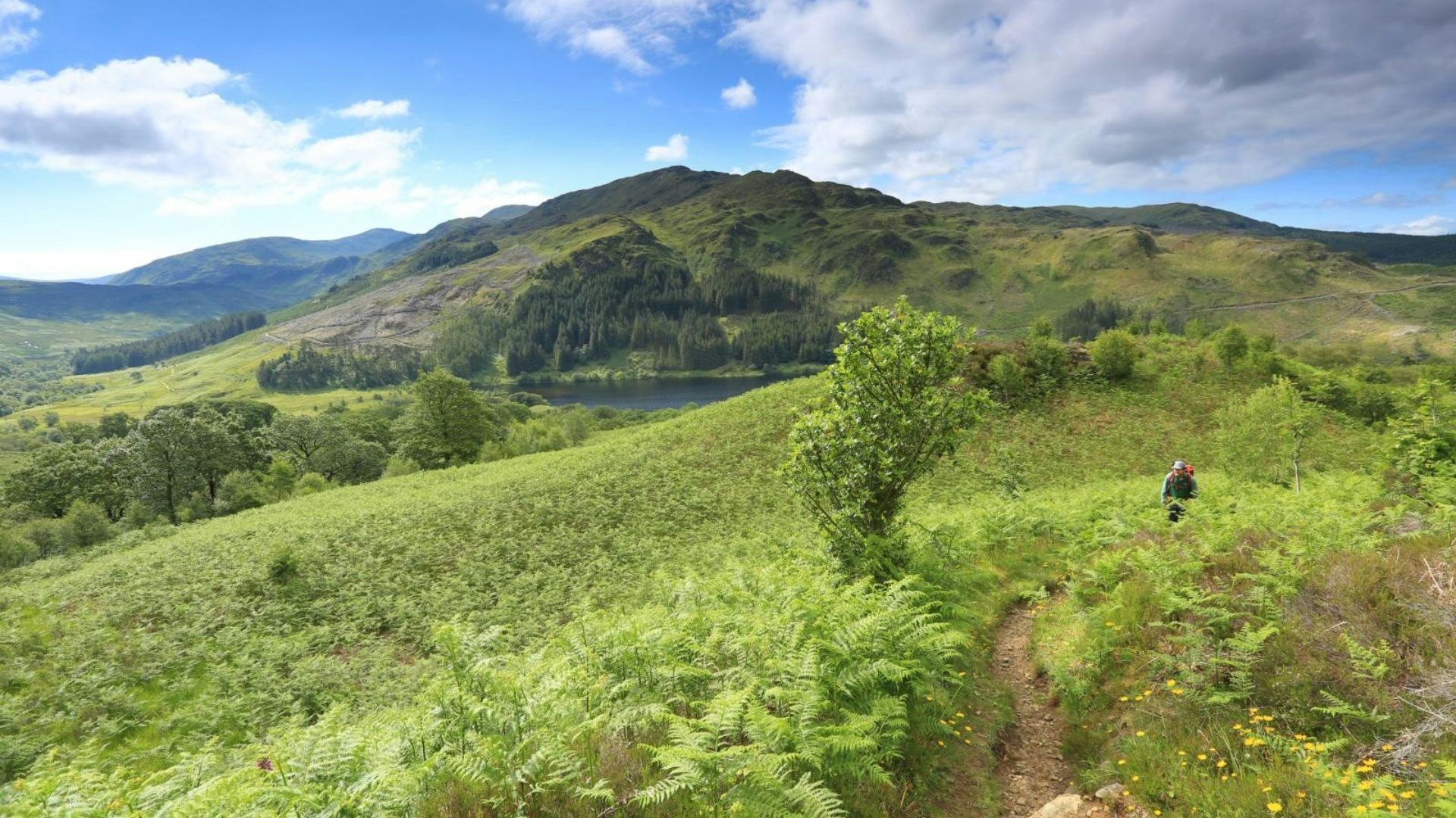 lower stretches of Merrick Trail from head of Loch Troon, Galloway, Southern Uplands