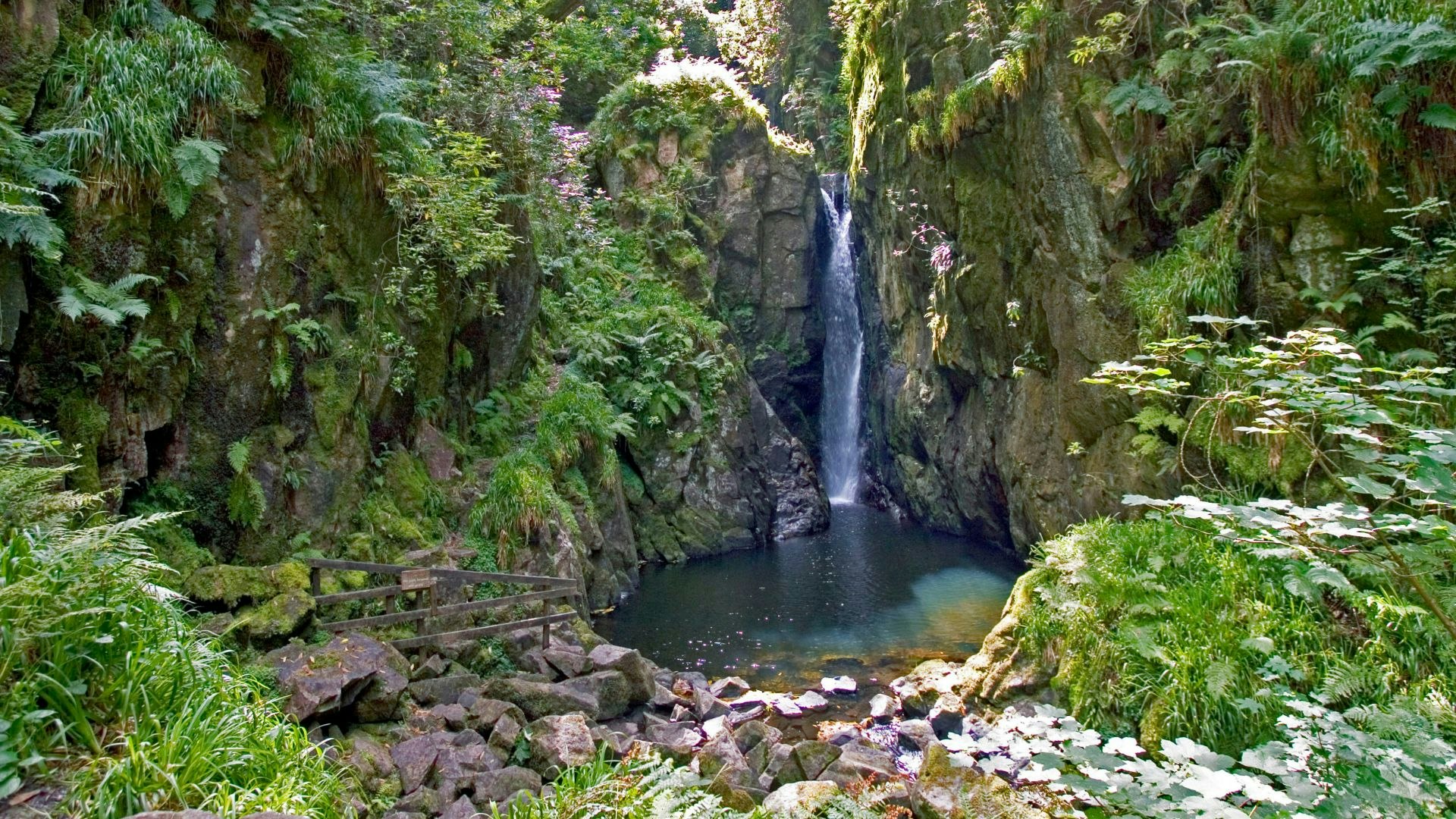 Stanley Ghyll, Eskdale, Lake District