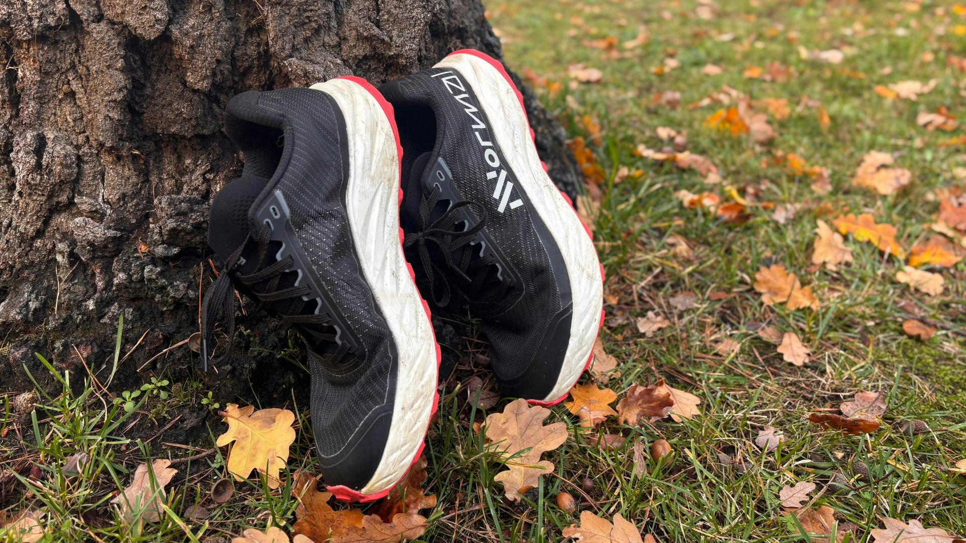 NNormal Kjerag 02 trail running shoe against a tree