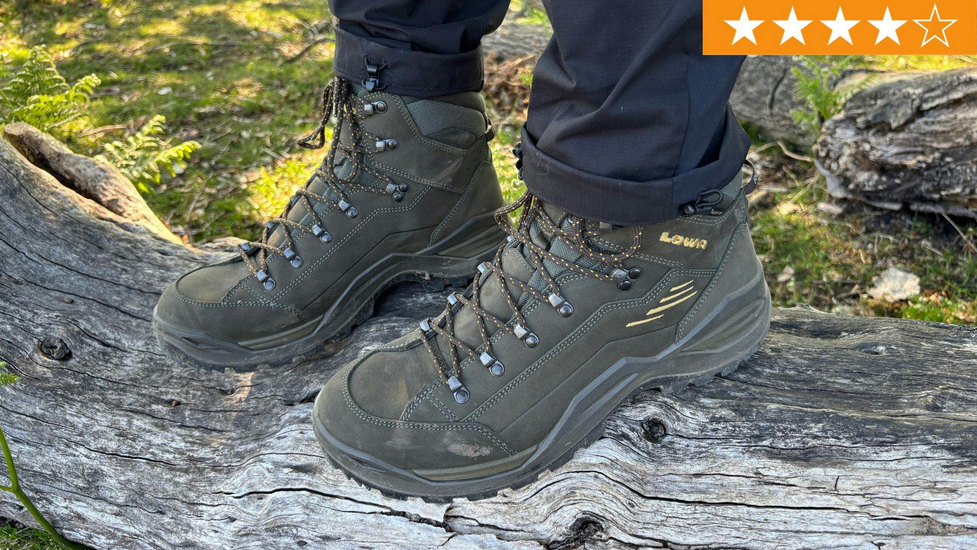 Lowa RENEGADE EVO GTX MID WS W - Outdoorschoenen - Dunkelgrau (229)/donkergrijs - View #4