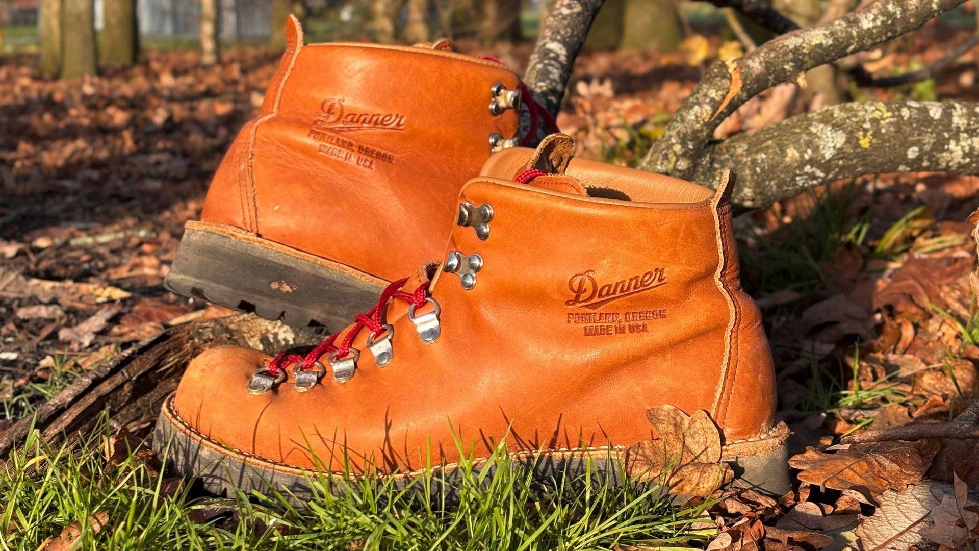 Danner Mountain Light leather walking boots