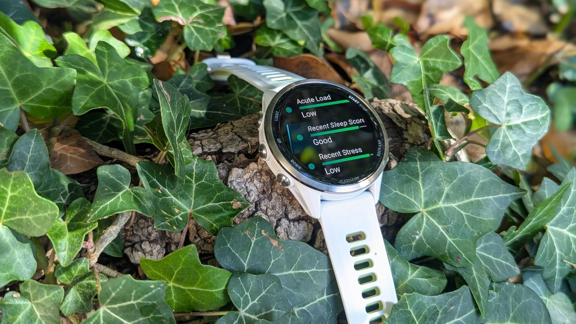 Garmin Forerunner 970 watch