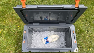 The best cool boxes and bags in 2026: Reviewed by experts