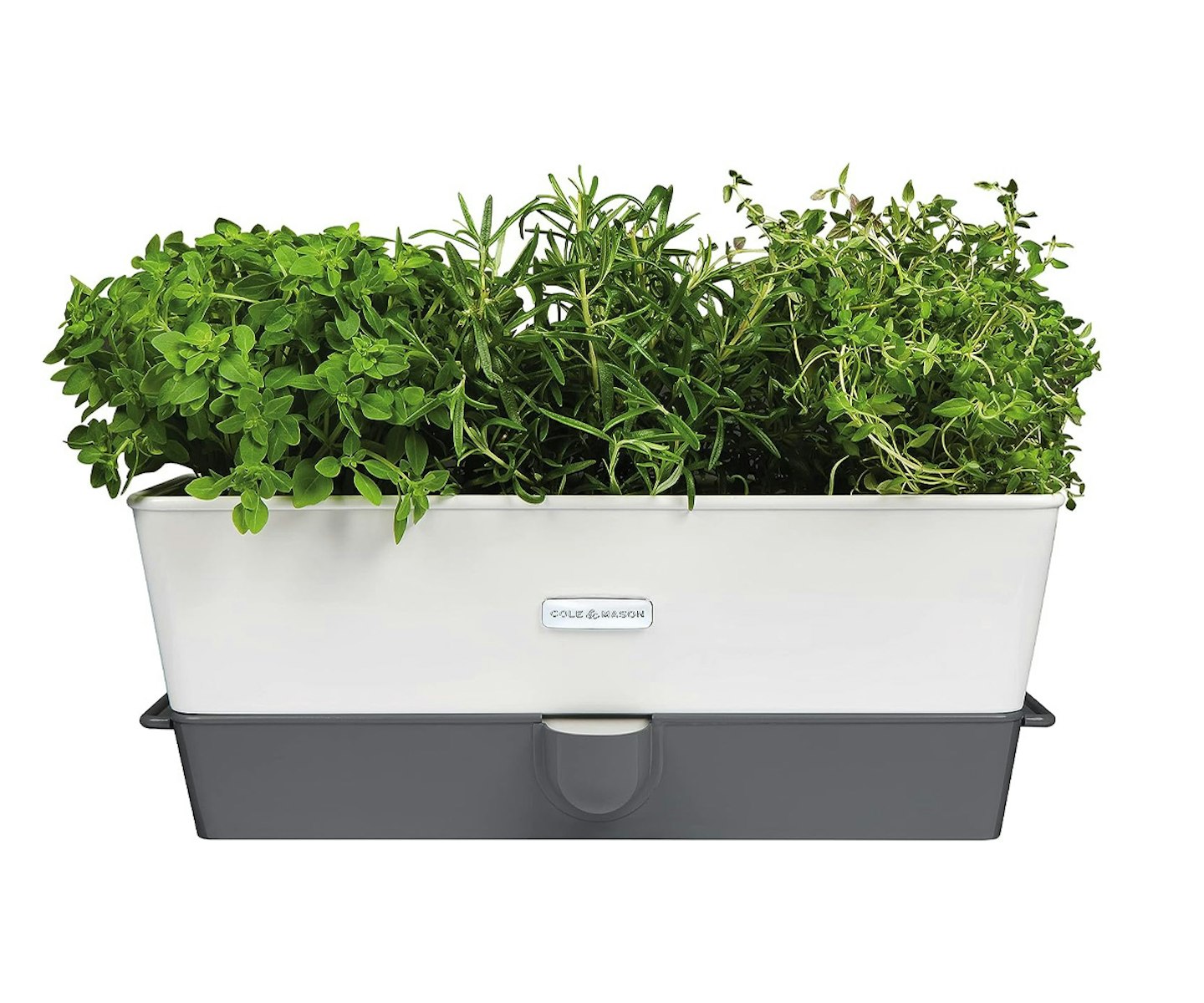 Cole & Mason H105349 Burwell Self-Watering Potted Herb Saver