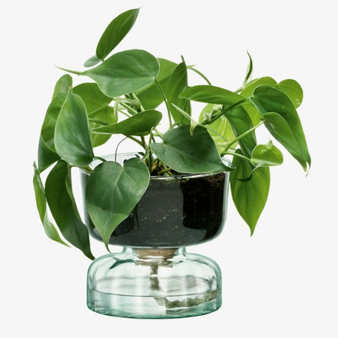 LSA Canopy Self-Watering Planter