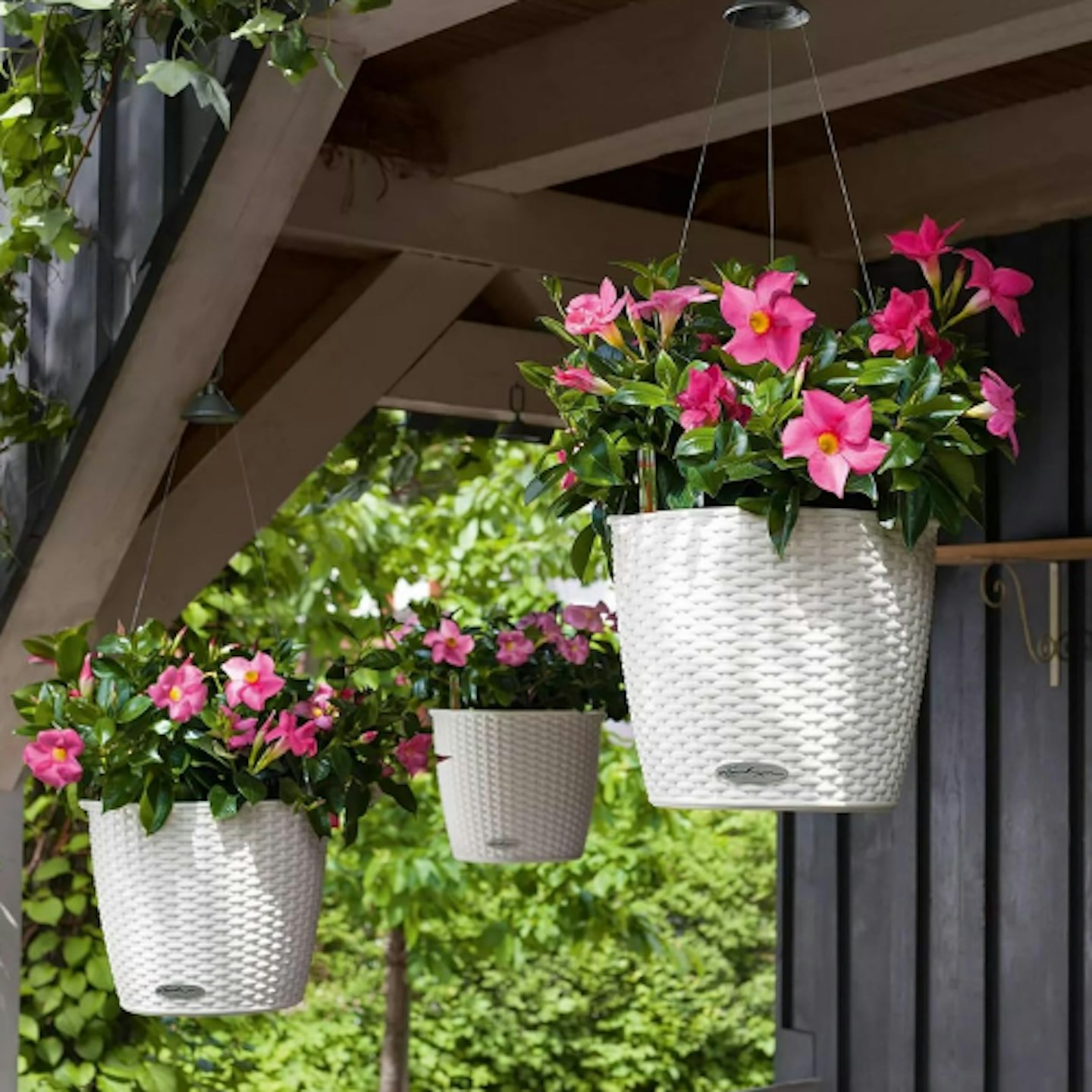 Lechuza NIDO Self Watering Hanging Plant Pots