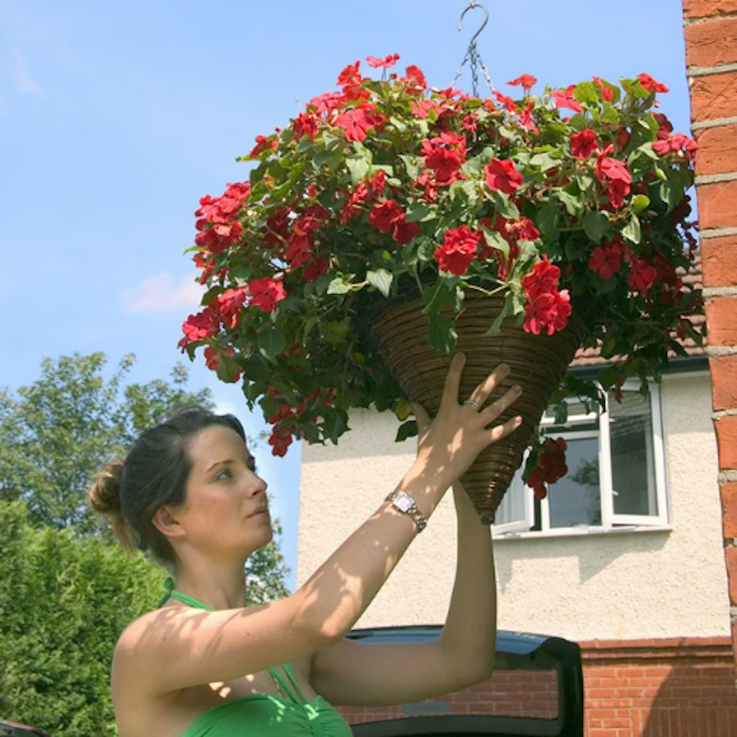 Hi-Lo hanging basket raising _ lowering pulley