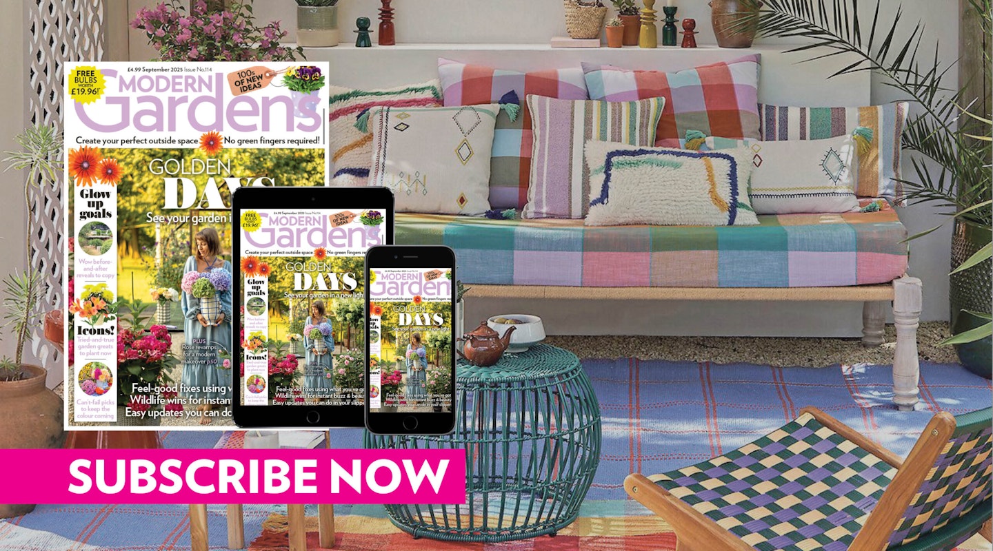 Sept issue subscribe
