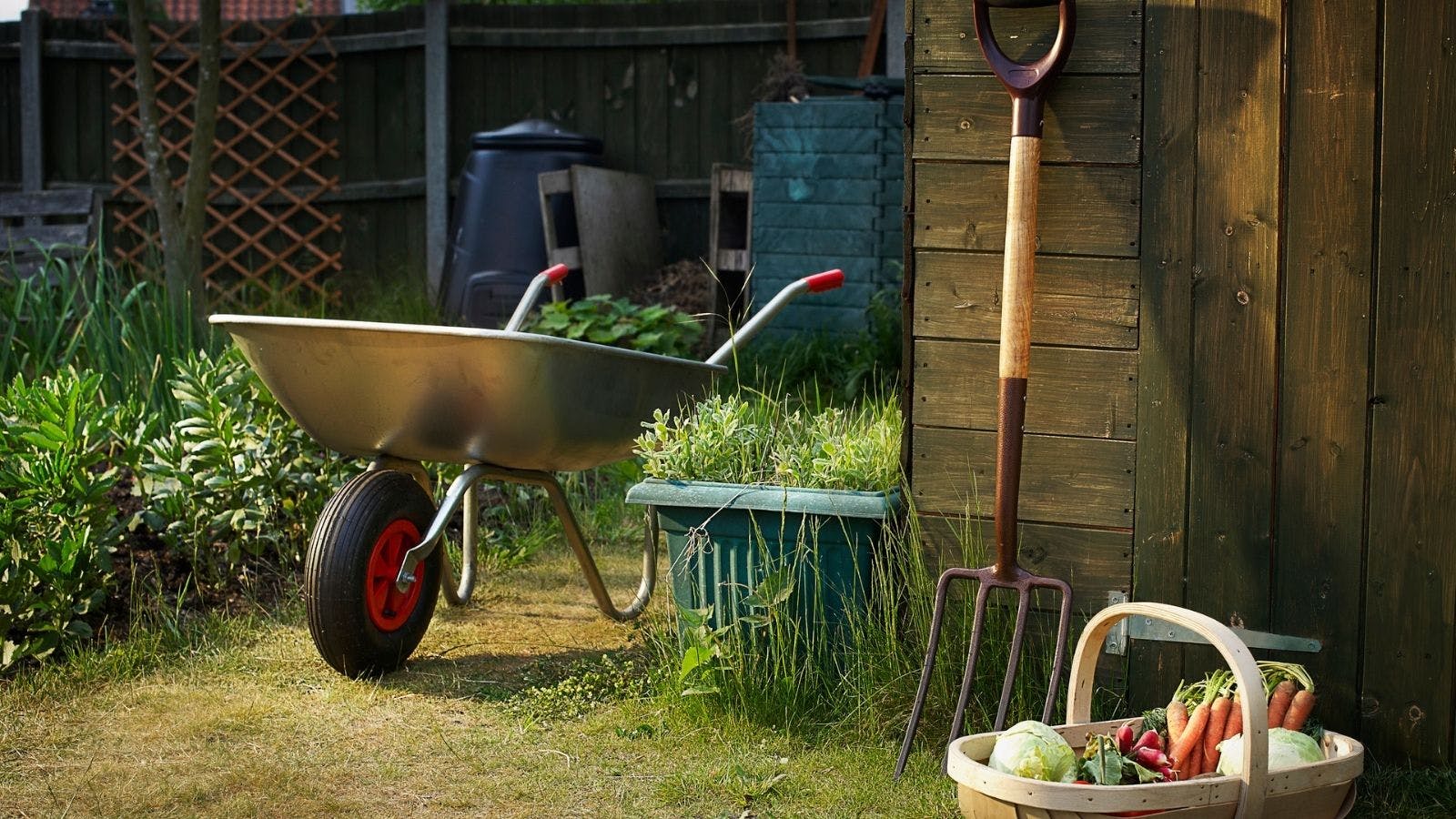 Best garden store wheelbarrow uk