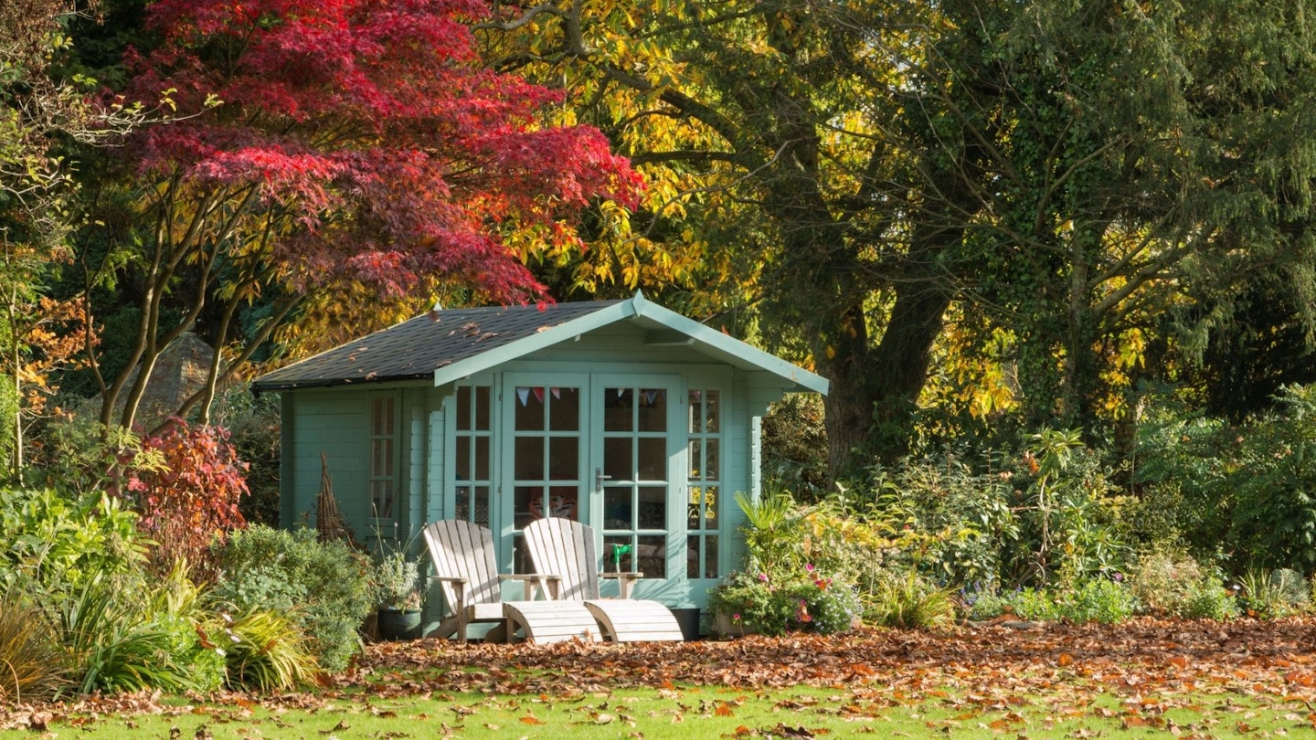 Autumn colour in the garden with the red Japanese Maple and fallen leaves, a cheap summer house and chairs
