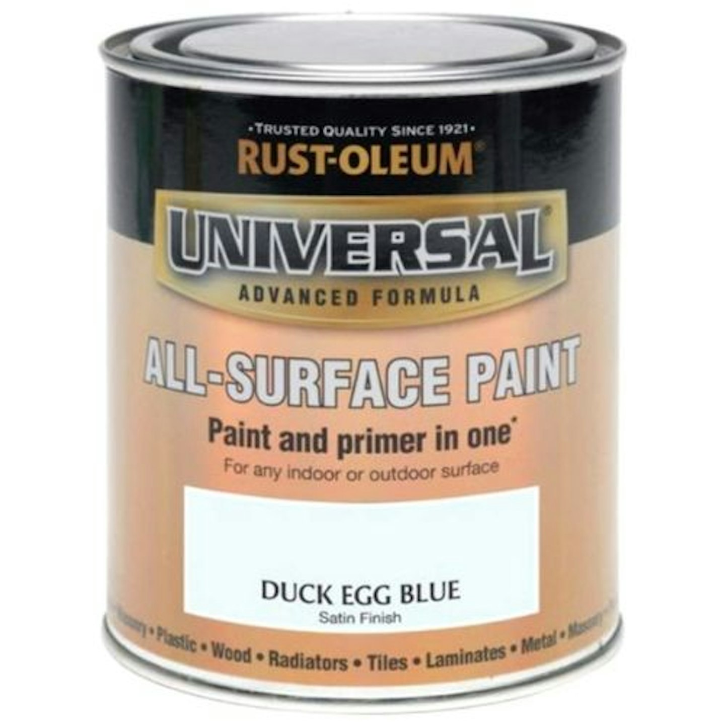 Rust-Oleum Universal All-Surface Brush-on Paint in Duck Egg Blue