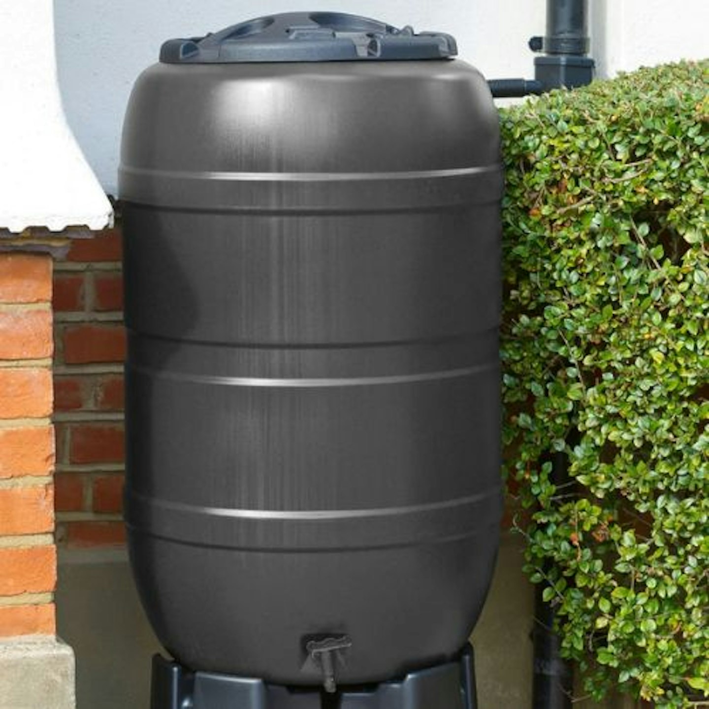 Enosburg Falls 210 L Rain Barrel