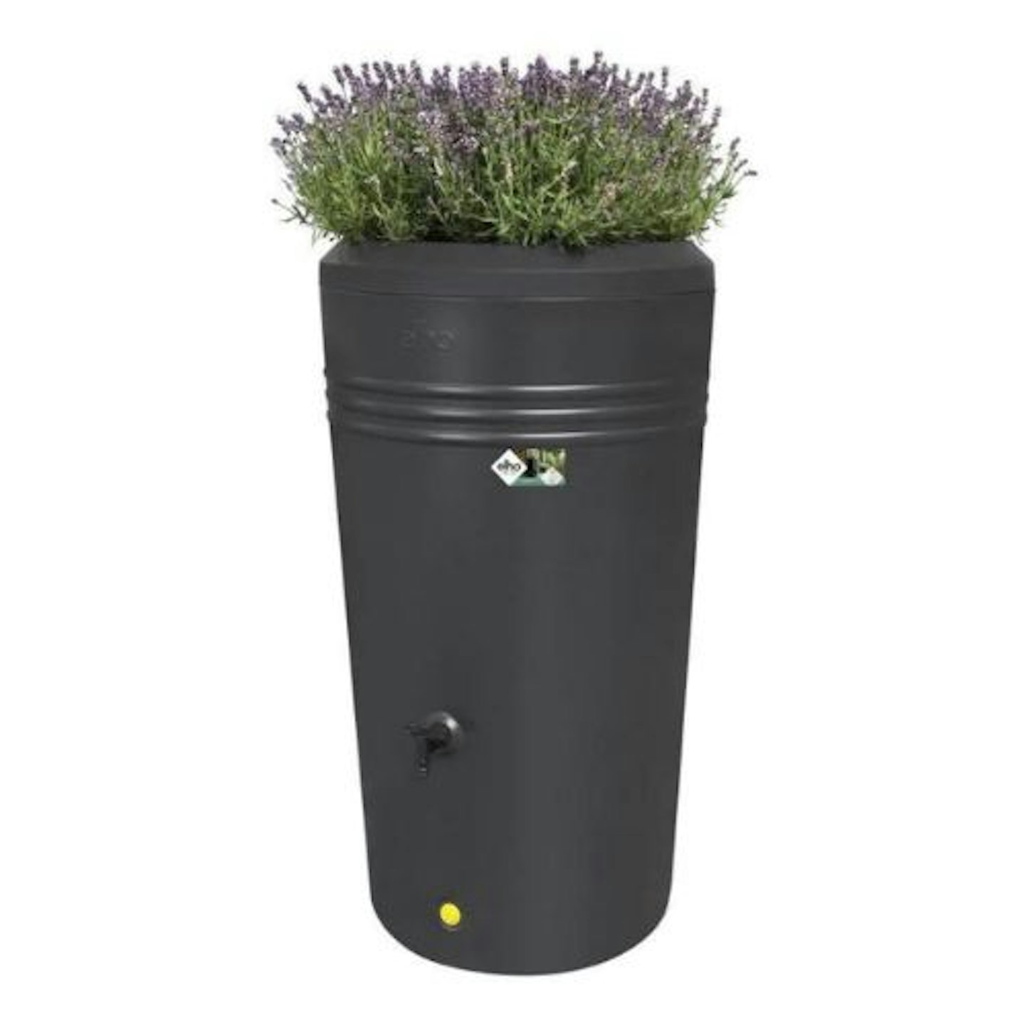 Green Basics Rainbarrel