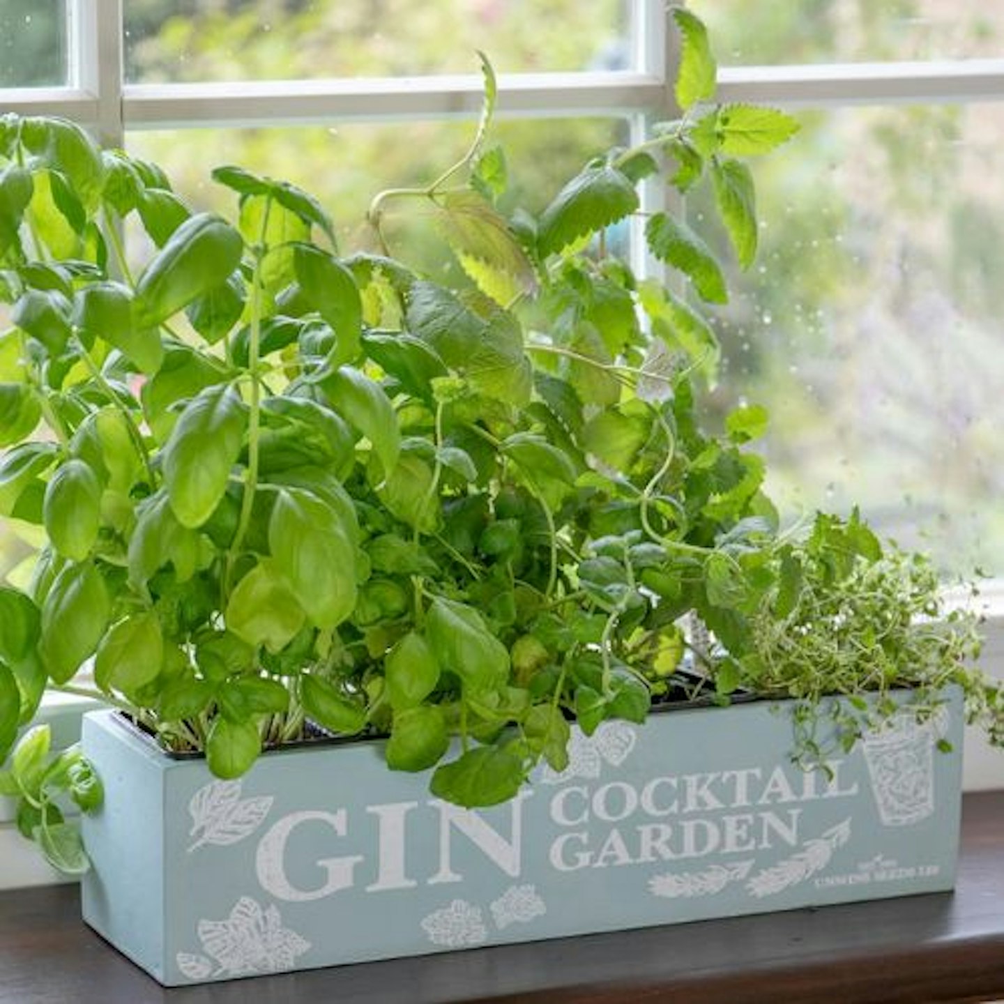 Gin cocktail herb garden kit