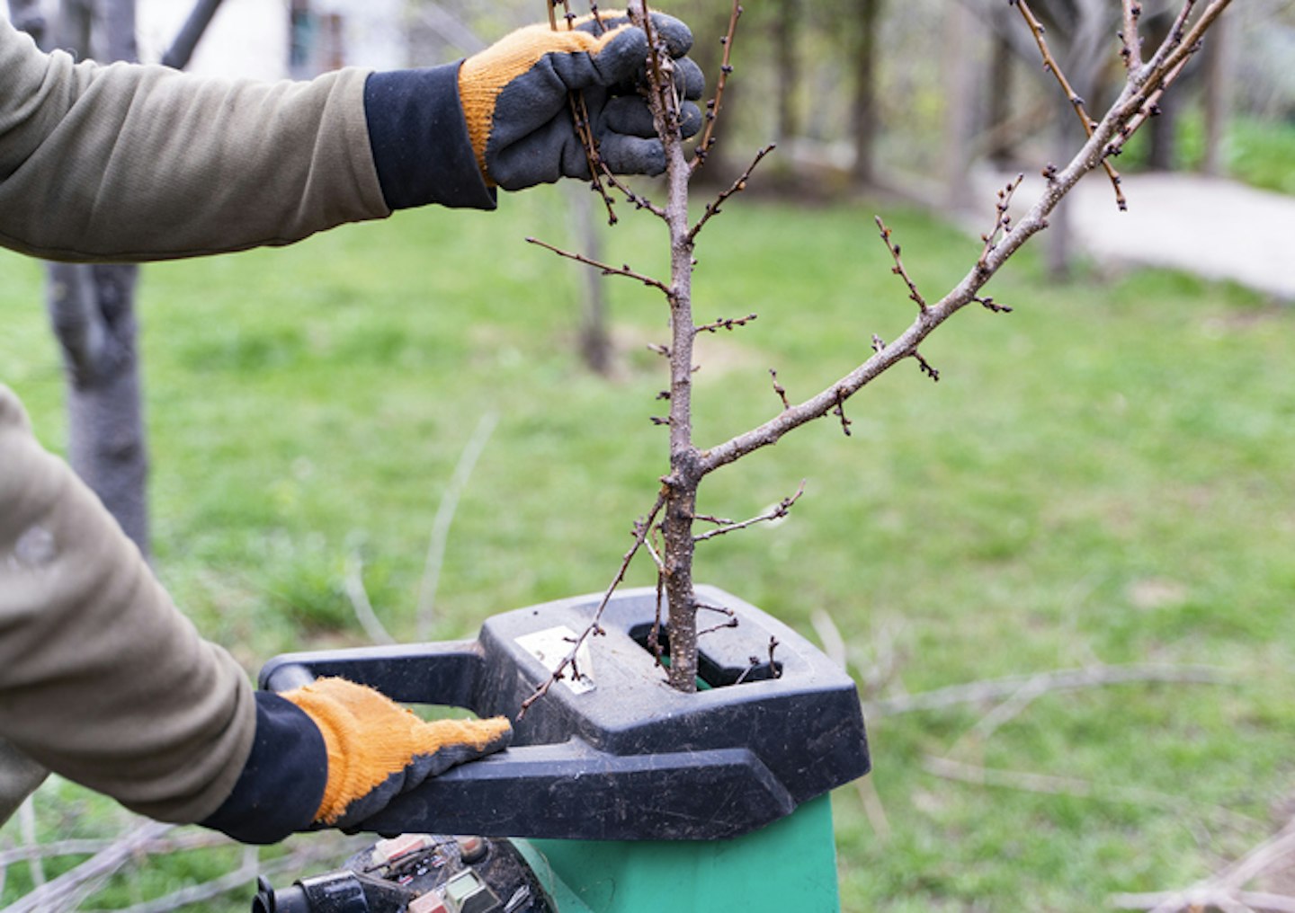 Hands put branches into garden shredder