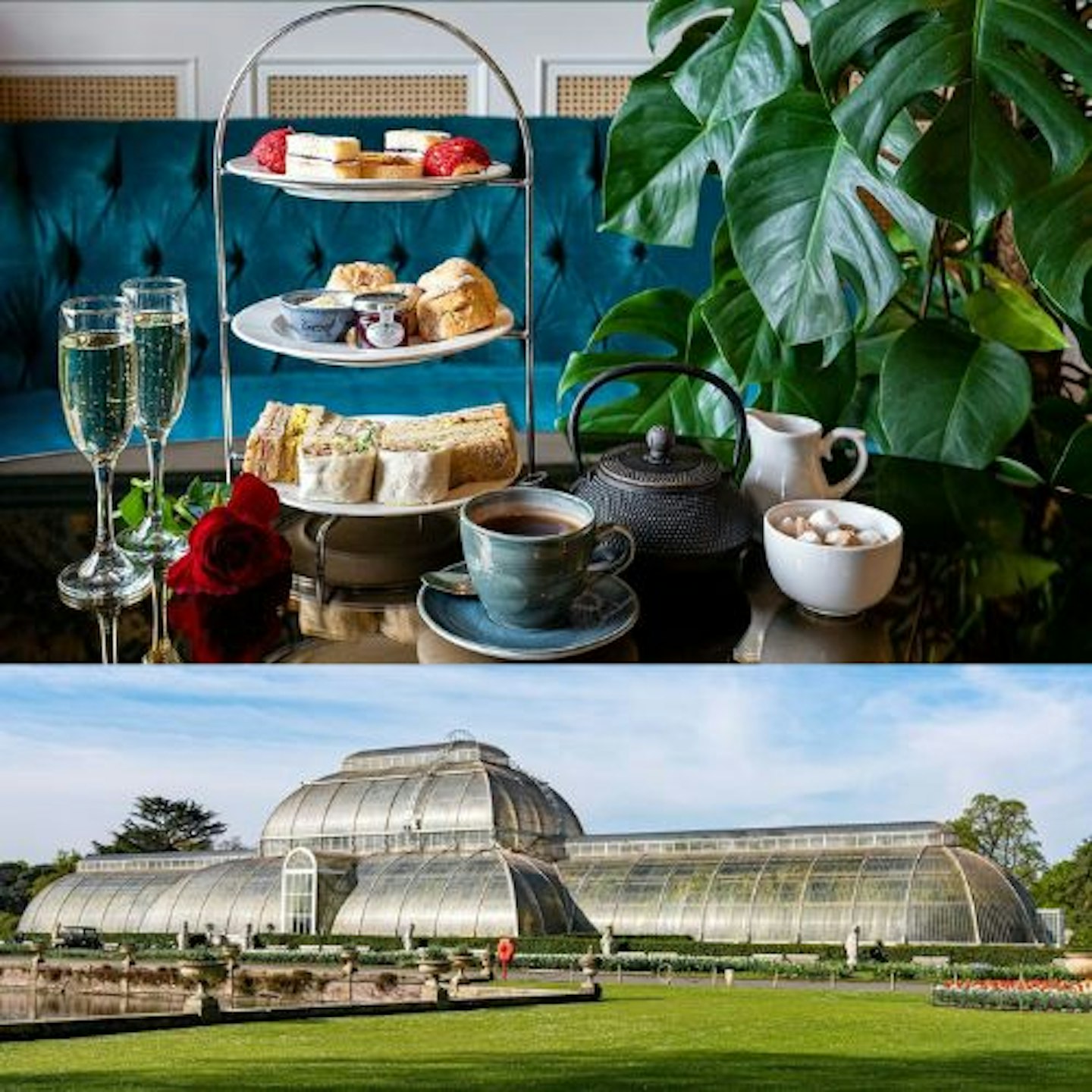 Visit to Kew Gardens with Afternoon Tea at The Botanical for Two