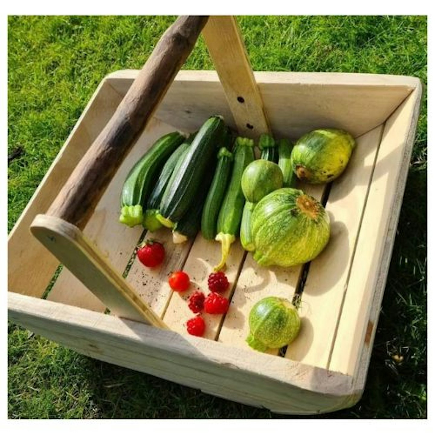 Garden Trug from Reclaimed Wood