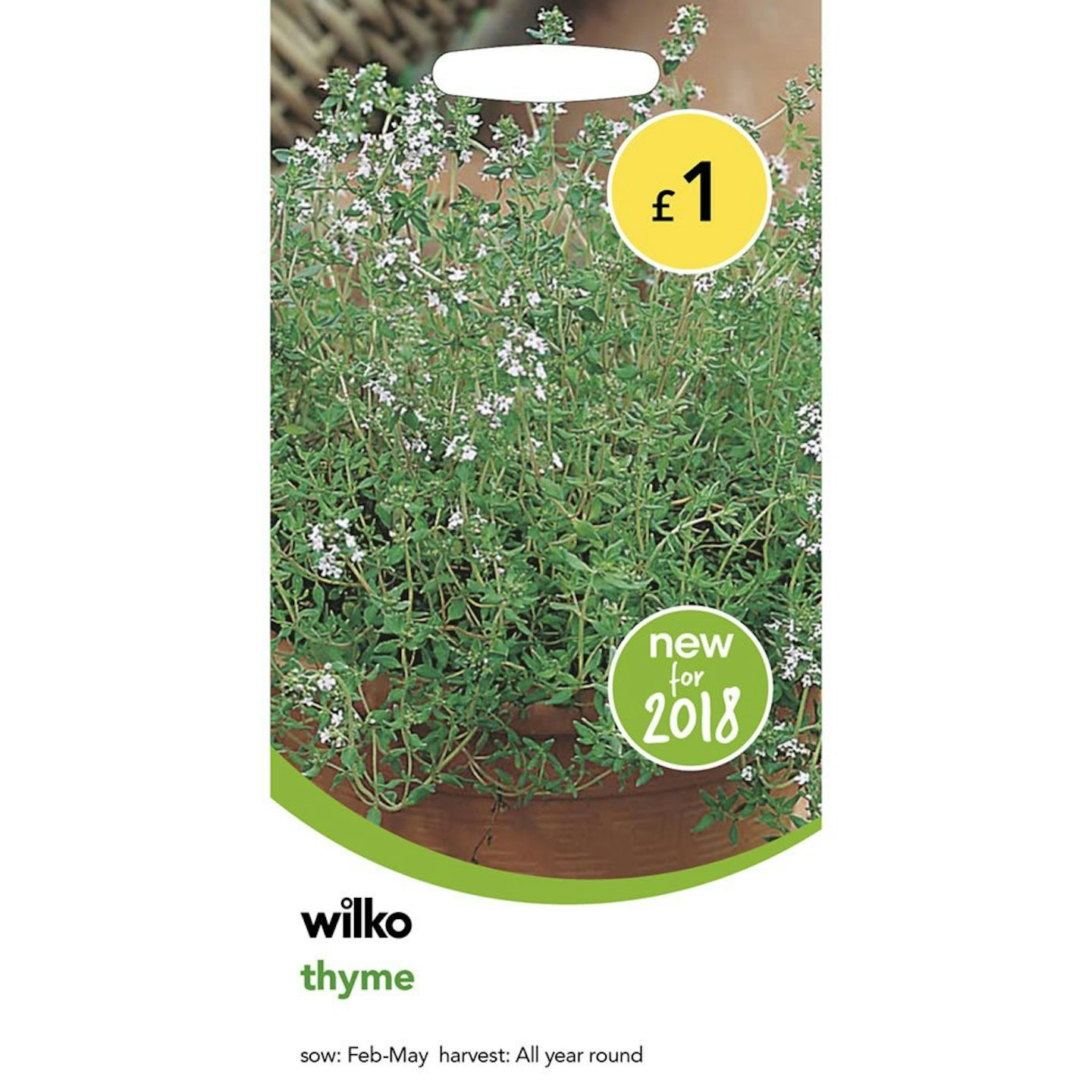 Wilko Thyme Seeds