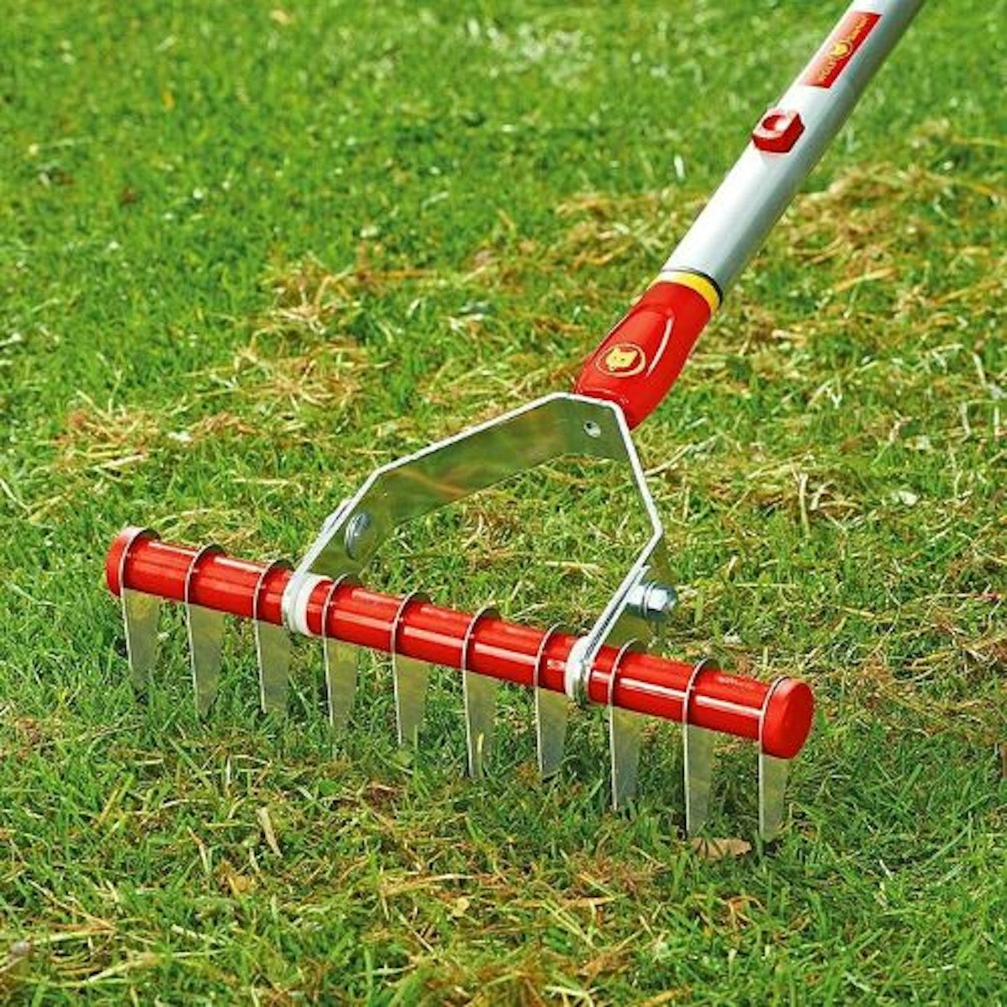 moss removal rake