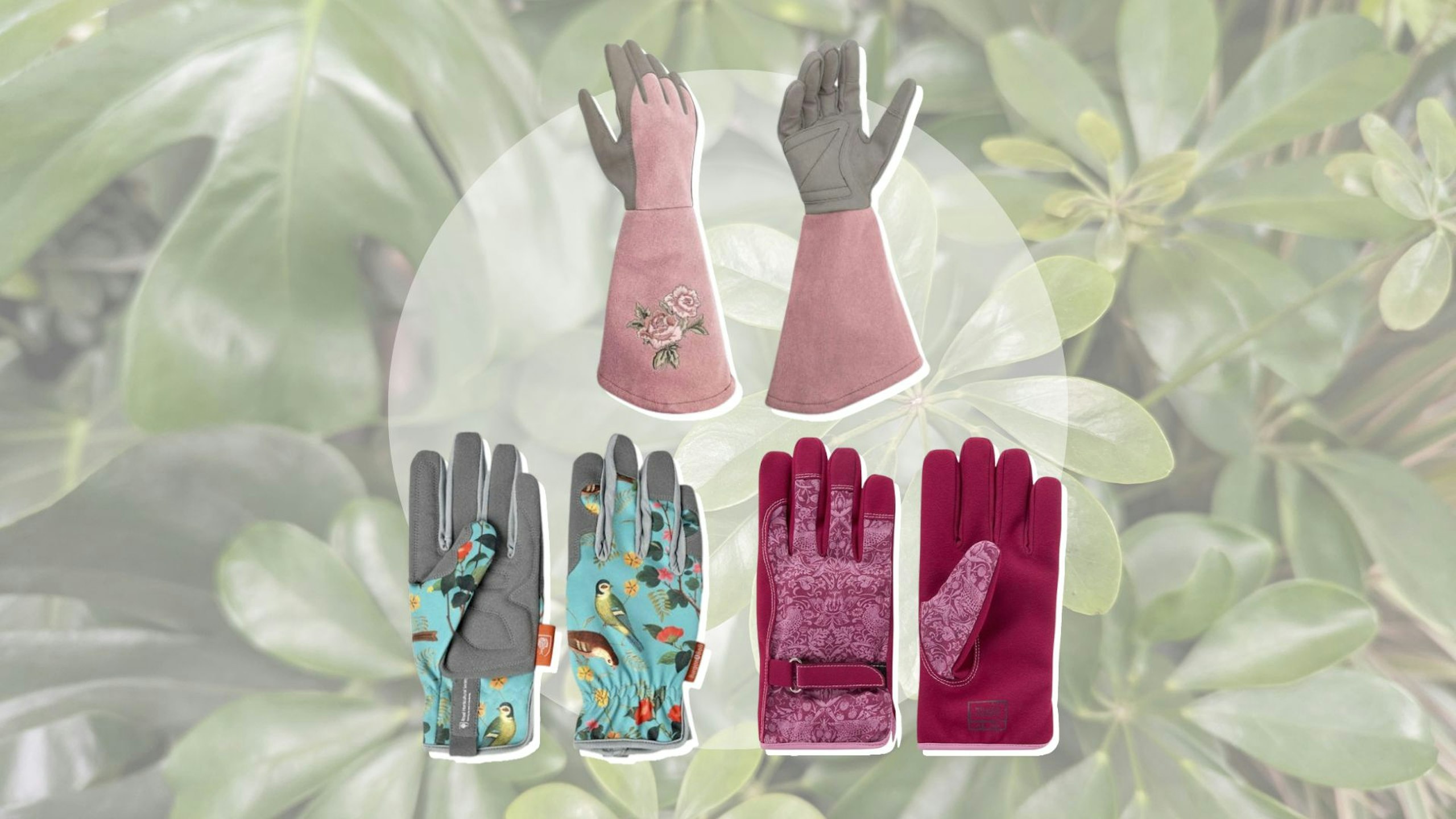Best stylish gardening gloves