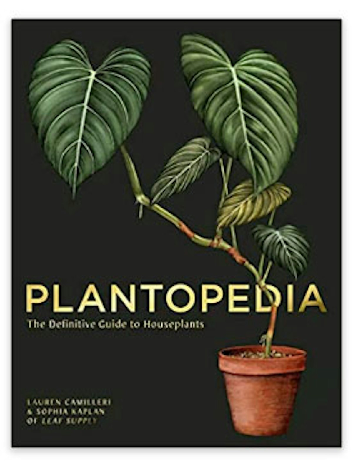 Best indoor plant books for your plant parent journey