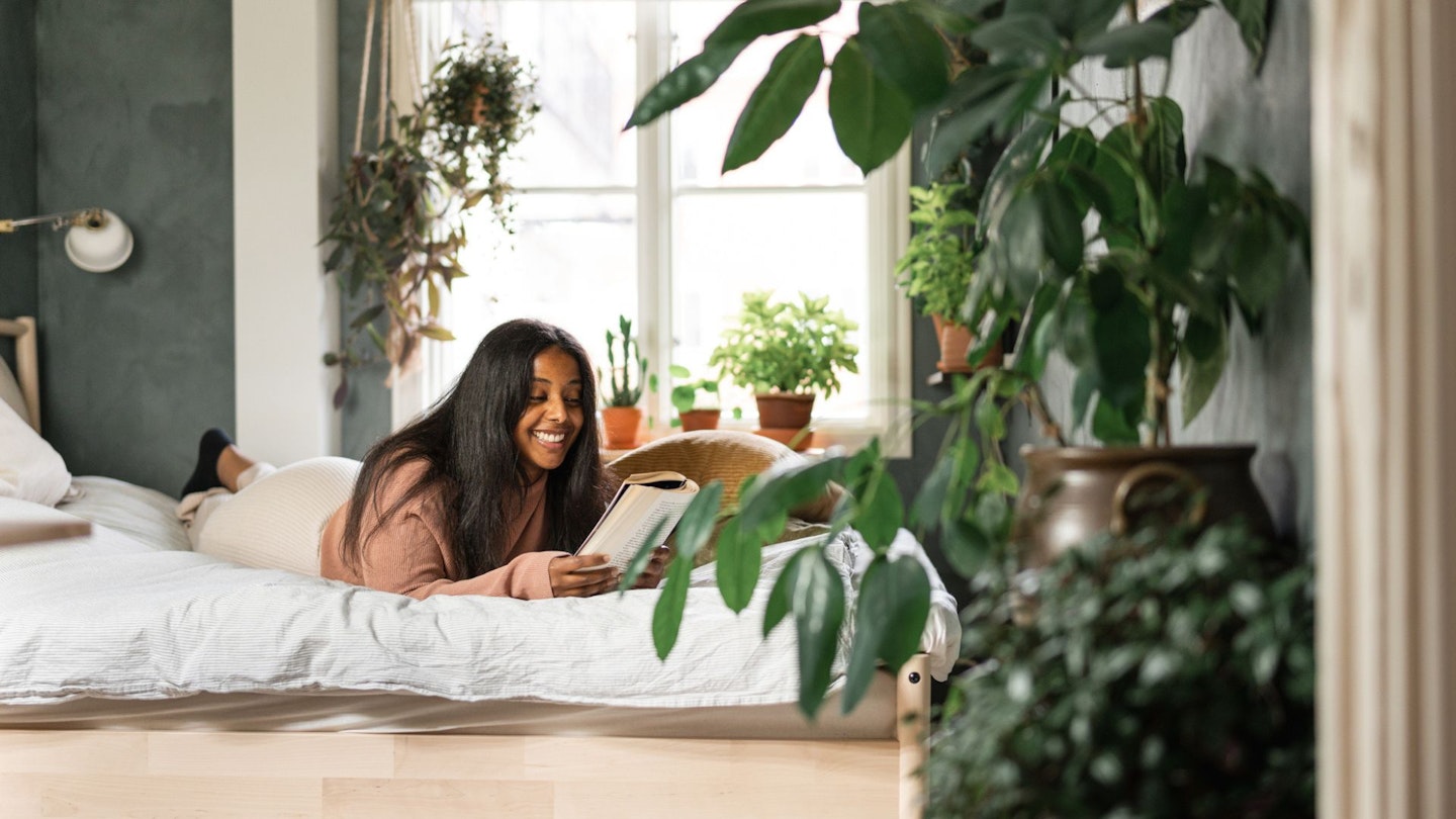 Best plants for your bedroom to improve wellbeing